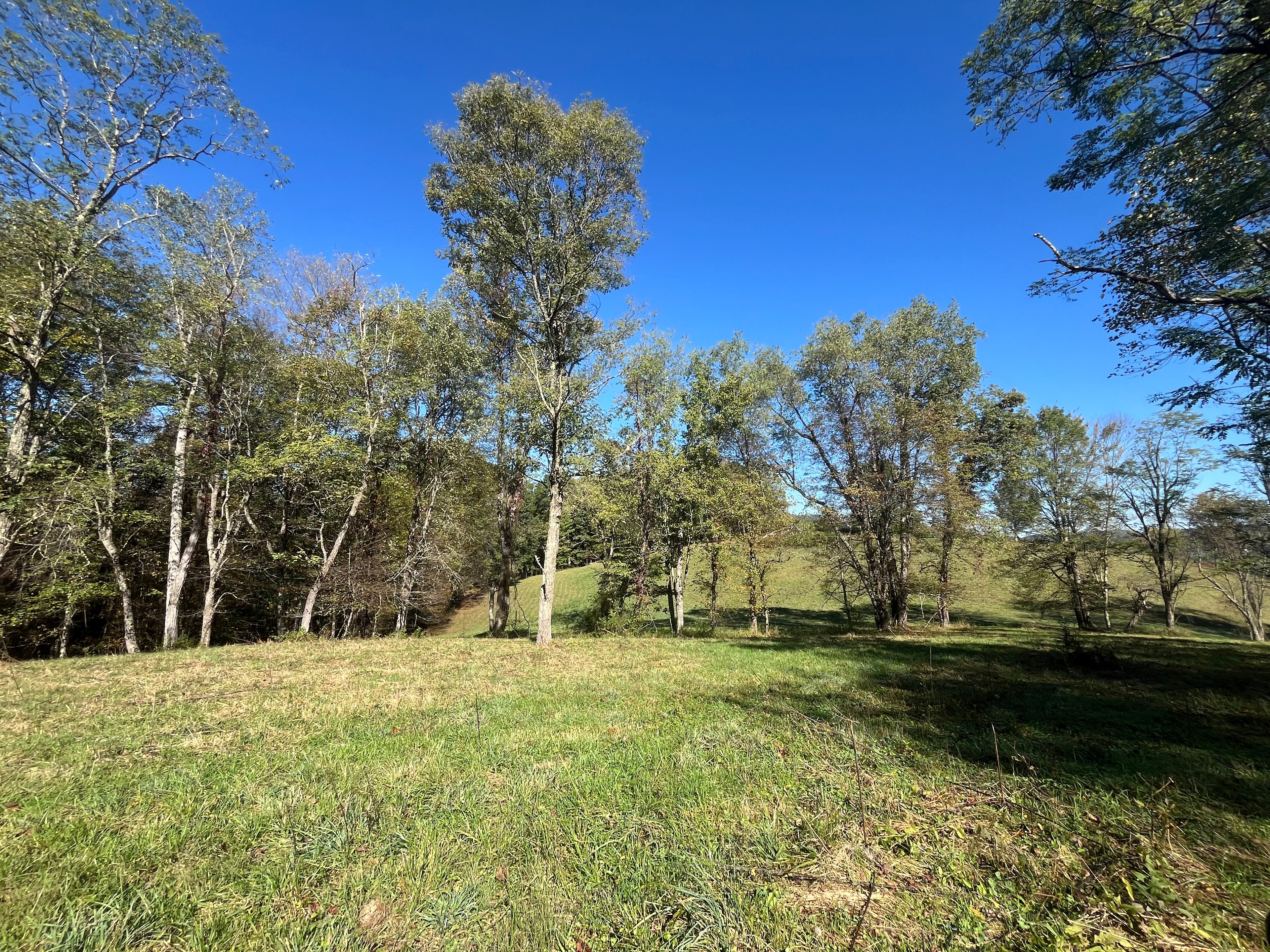 Craft Coffee In The Mountains!!