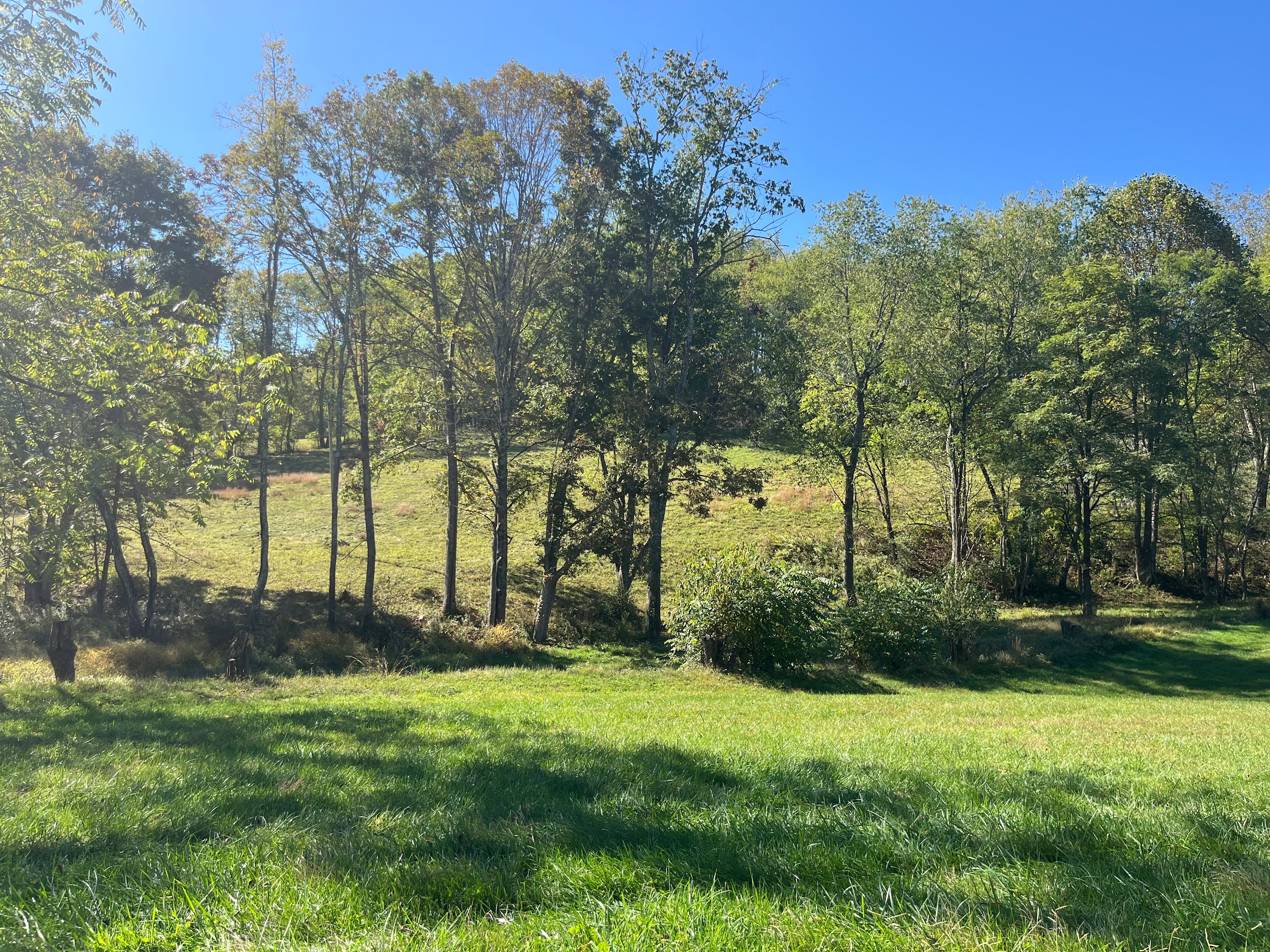 Craft Coffee In The Mountains!!