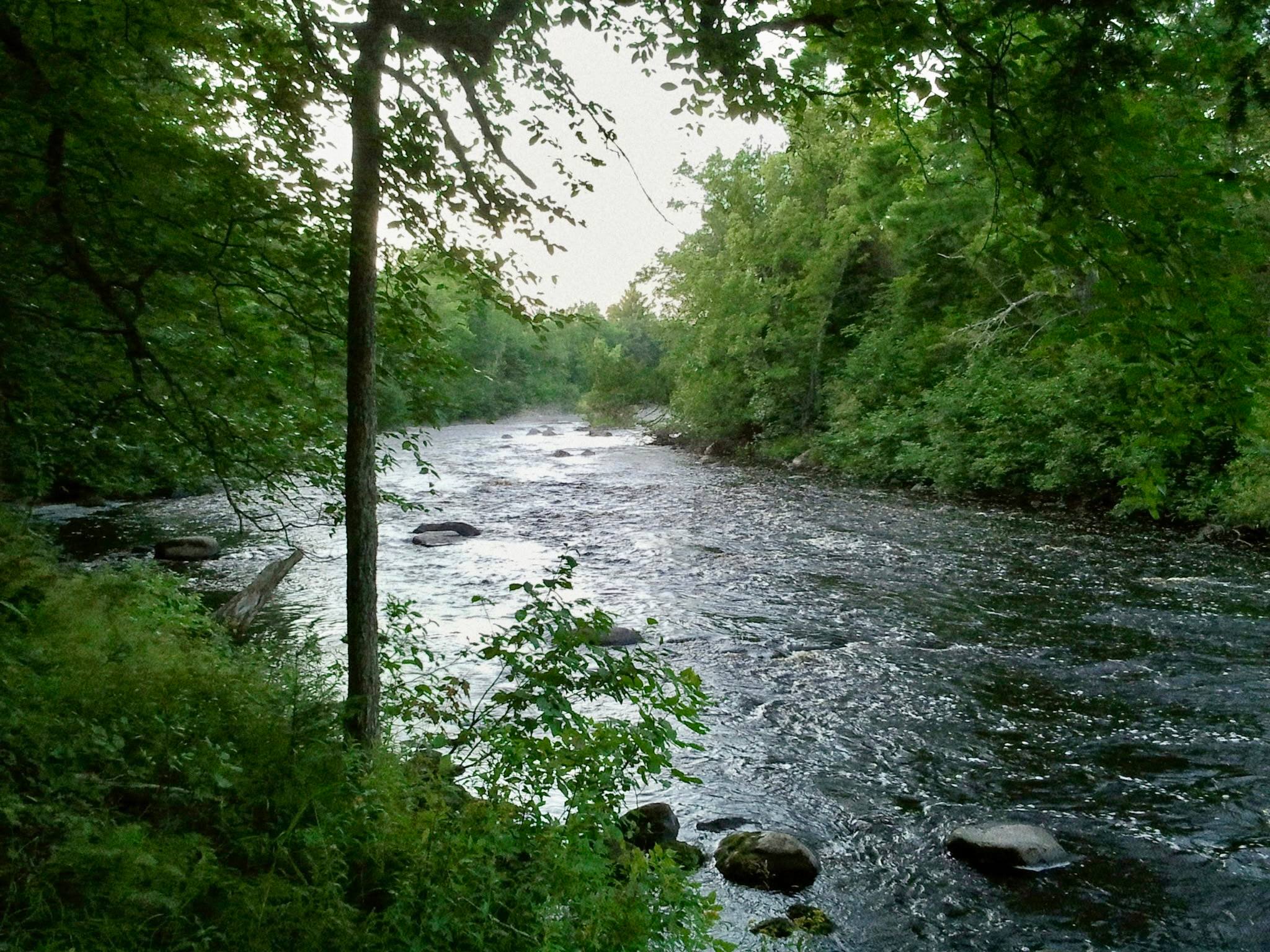 Private 3 ac Riverside RV/Tent Site