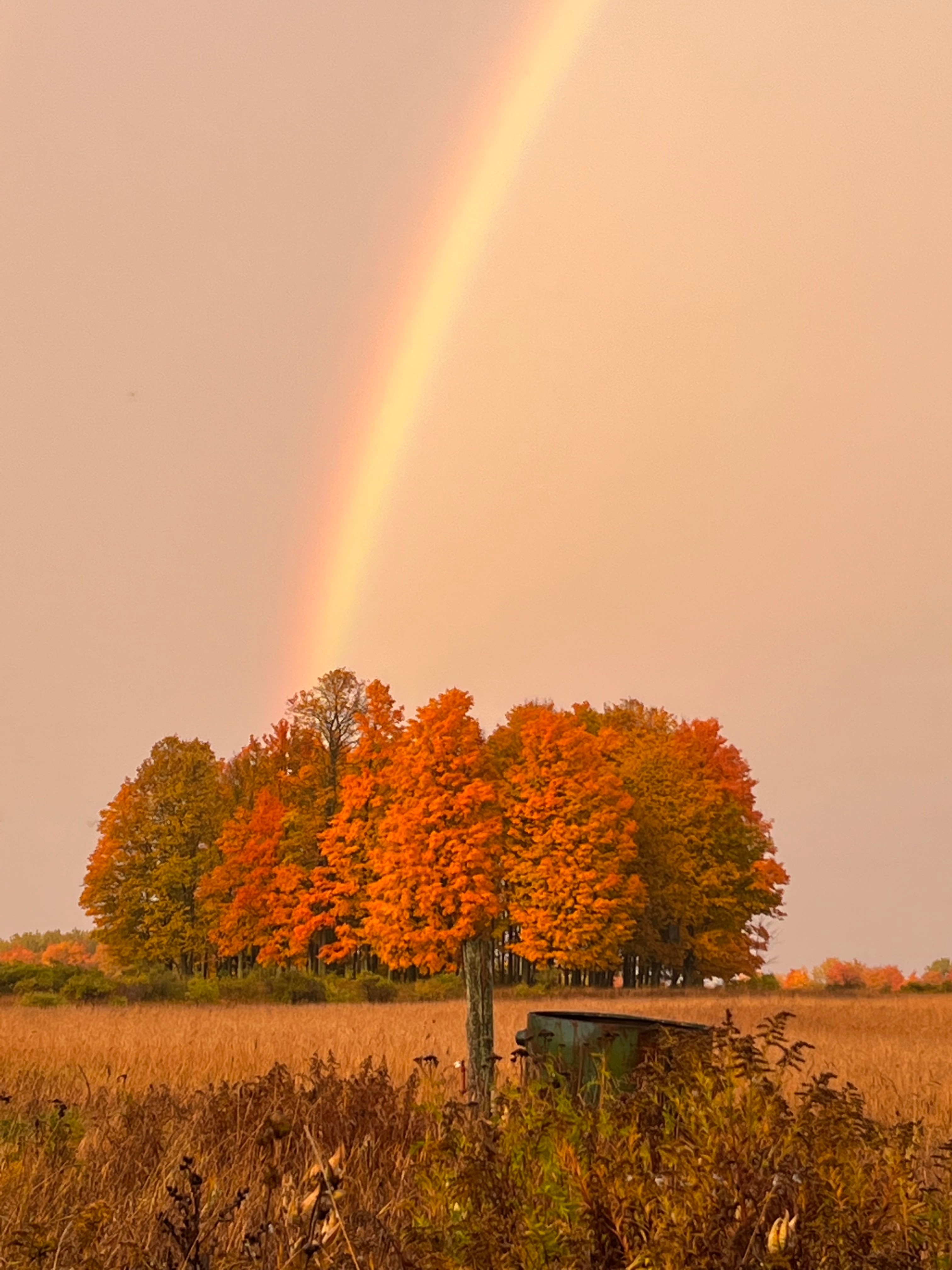 Peterman Farm