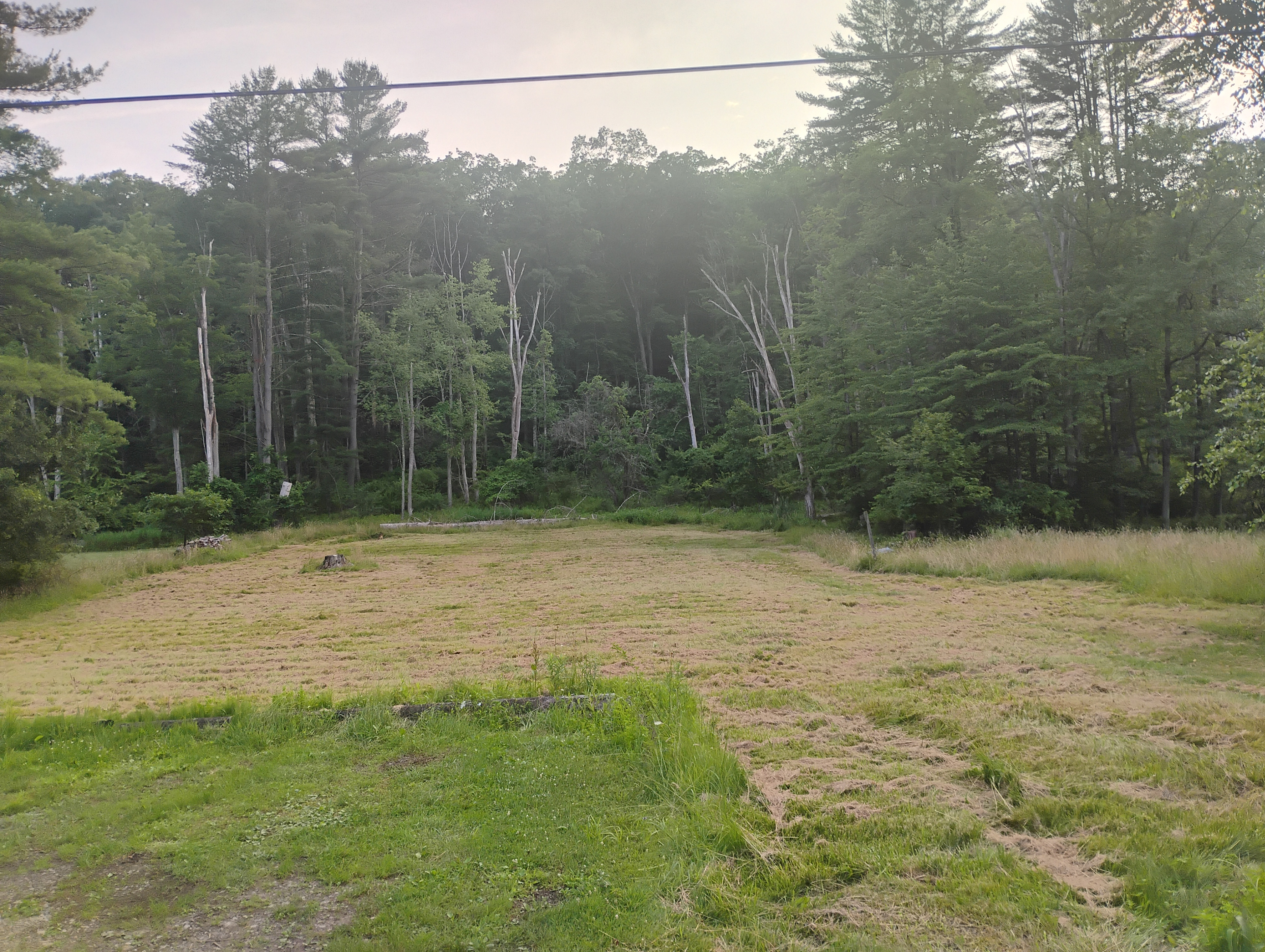The campground parking area is in the left foreground.  In the center-left of the photo is an old stump that serves as a communal campfire feature.  Small campfires are allowed at you tent site for personal use.  Please bring your own campfire wood. This is a dark sky area, so please be courteous and respectful of other campers that are here for the dark.  Fires can interfere with night sky watching.  
