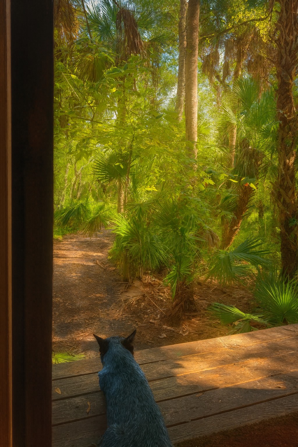 Hidden Oak Hideaway Treehouse