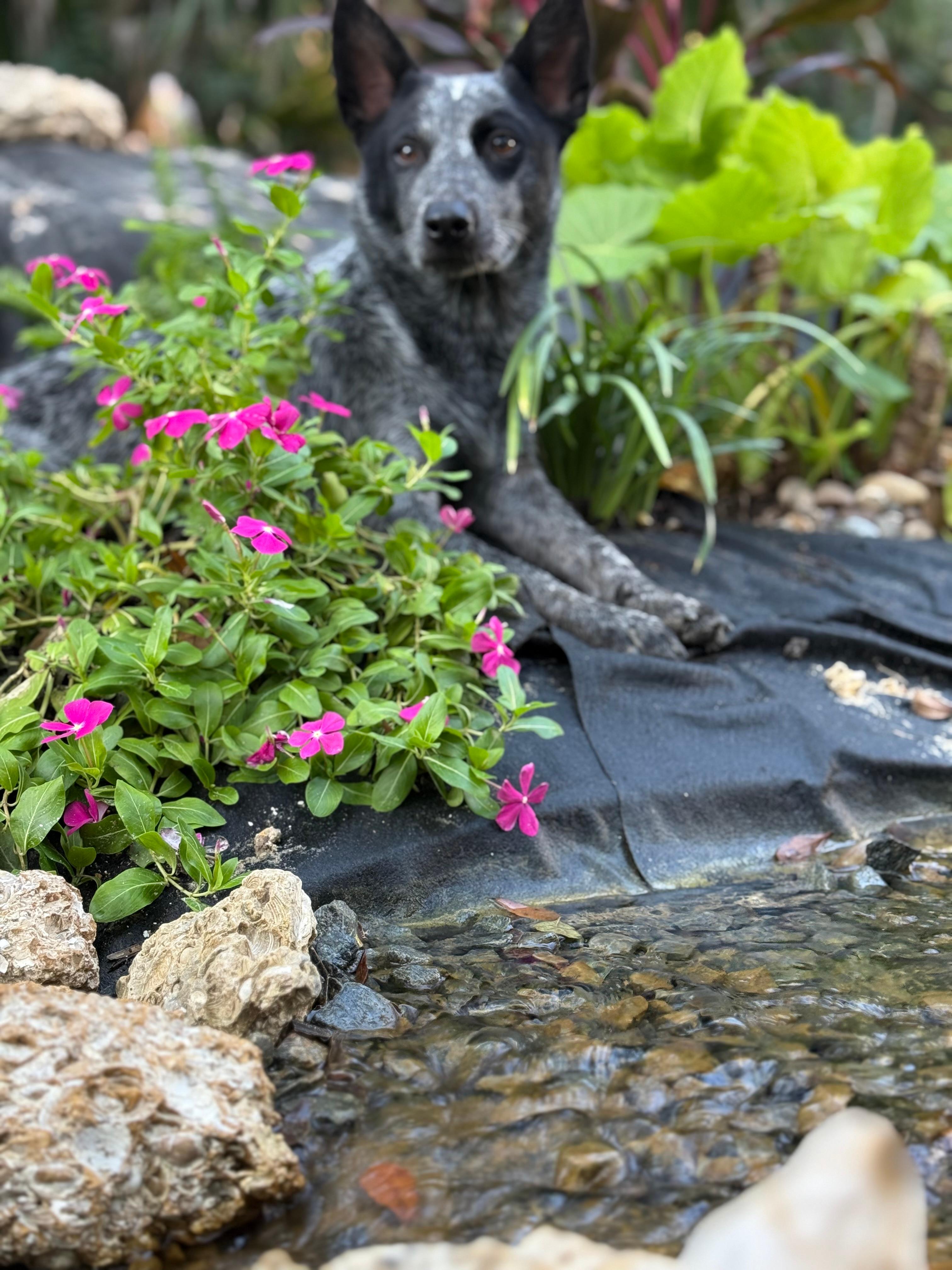 Hidden Oak Hideaway Treehouse