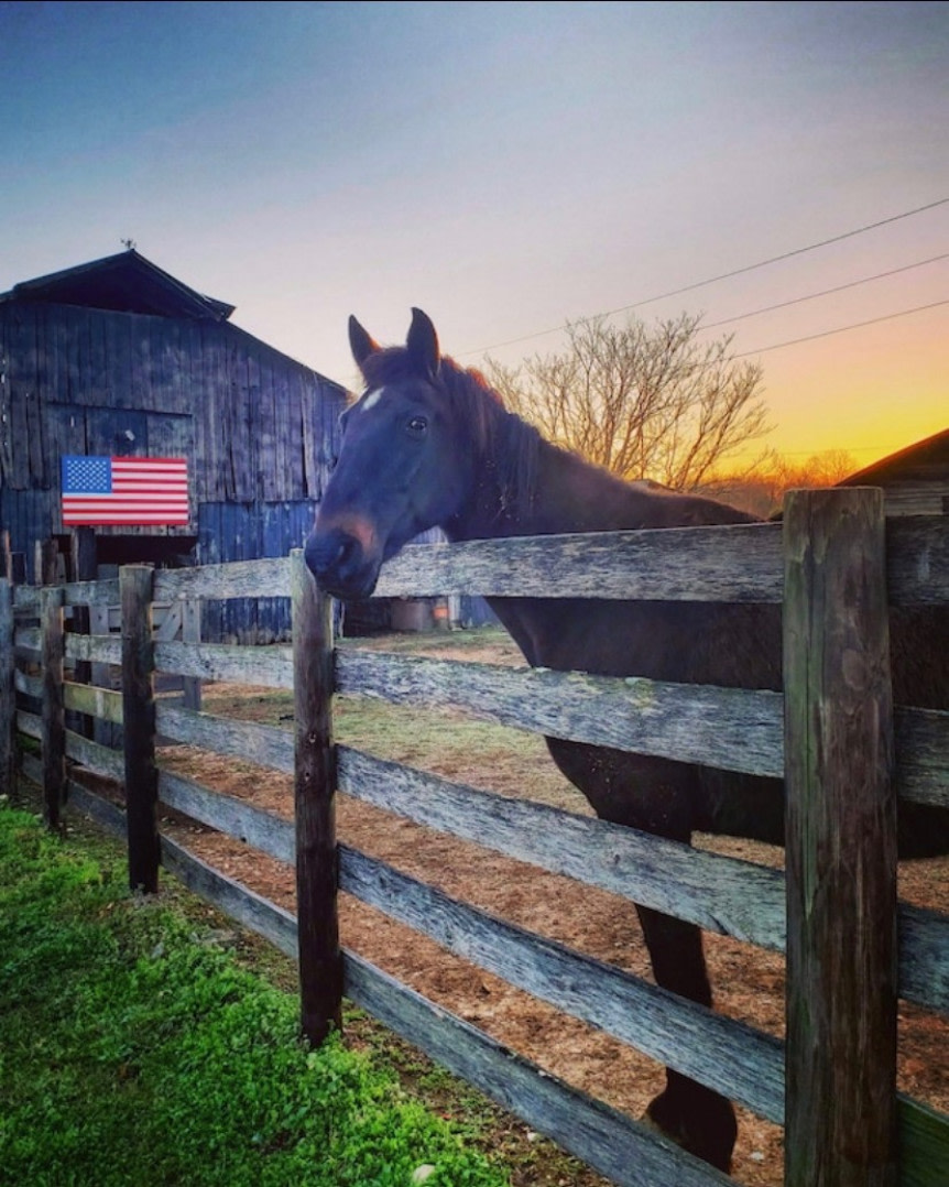 Muletown Farm | Pond | Sunset Views