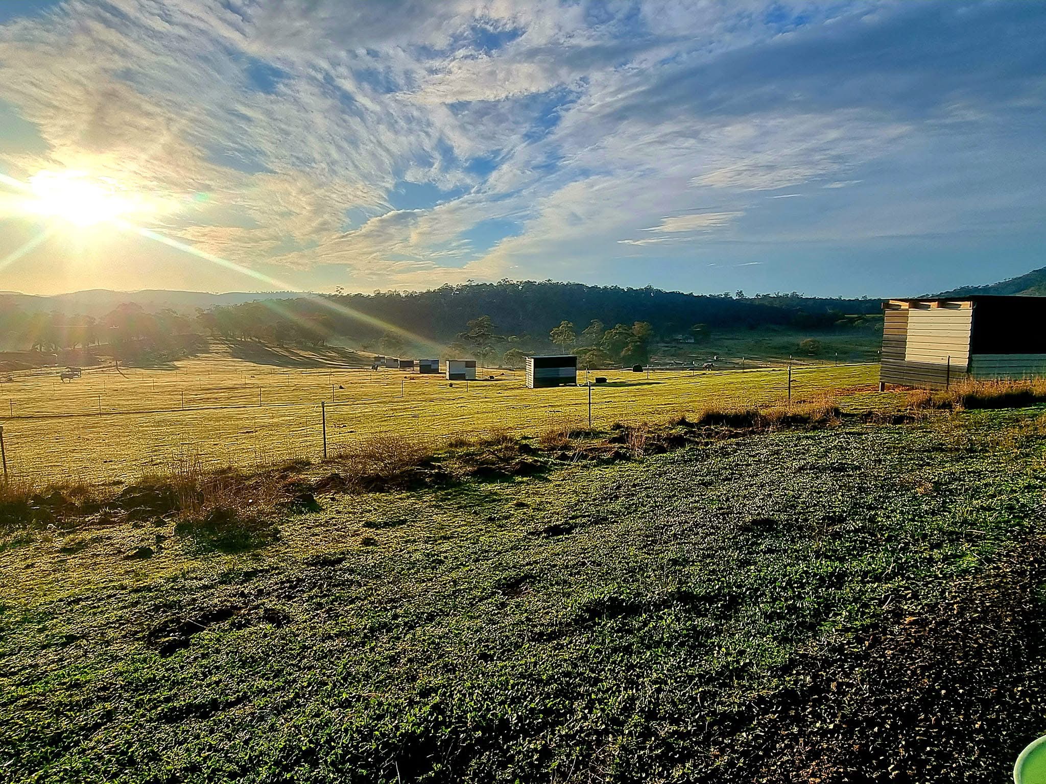 Honeywood Valley Farms