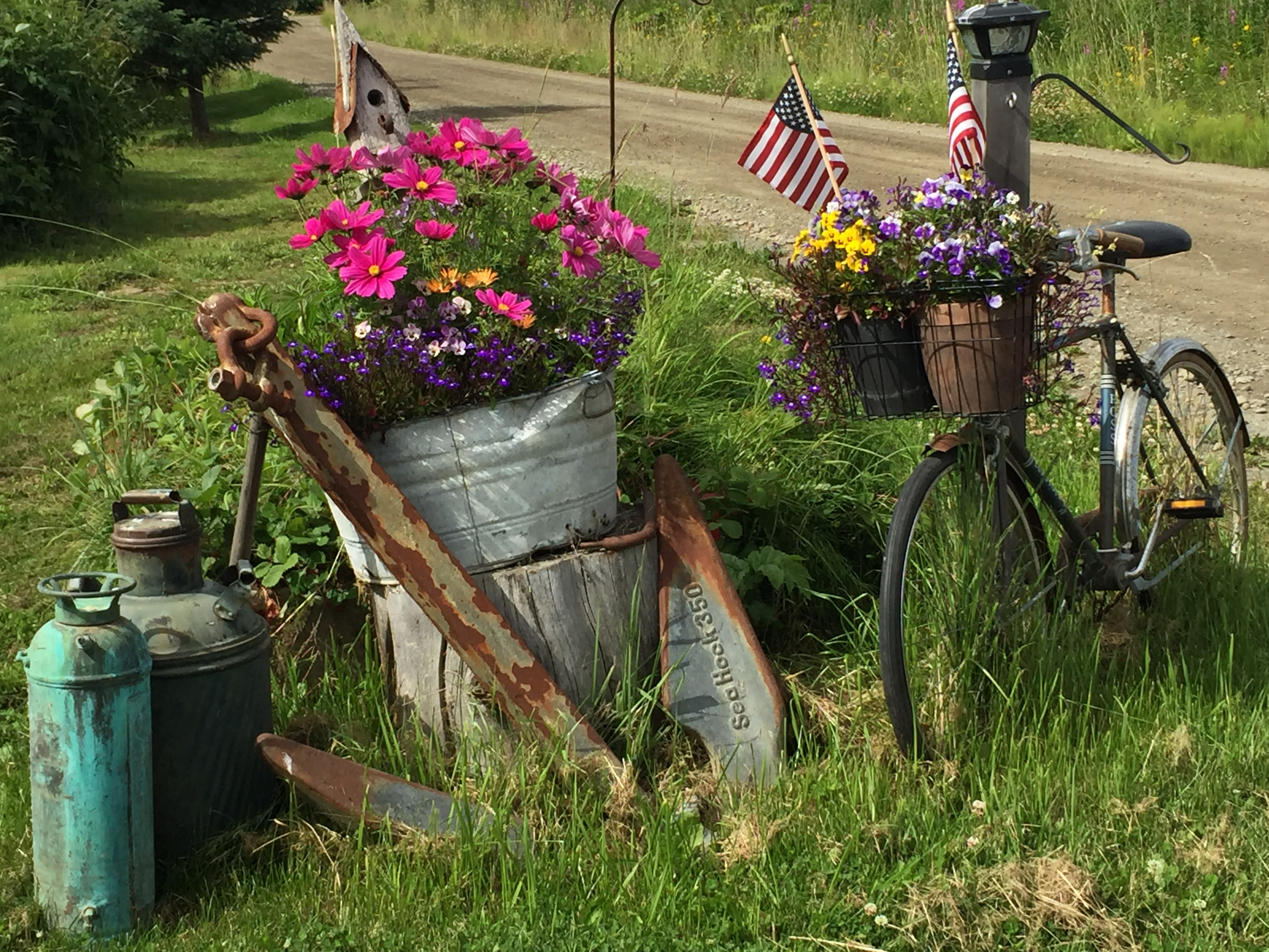 Alaska Glacier/Seaview Glamping