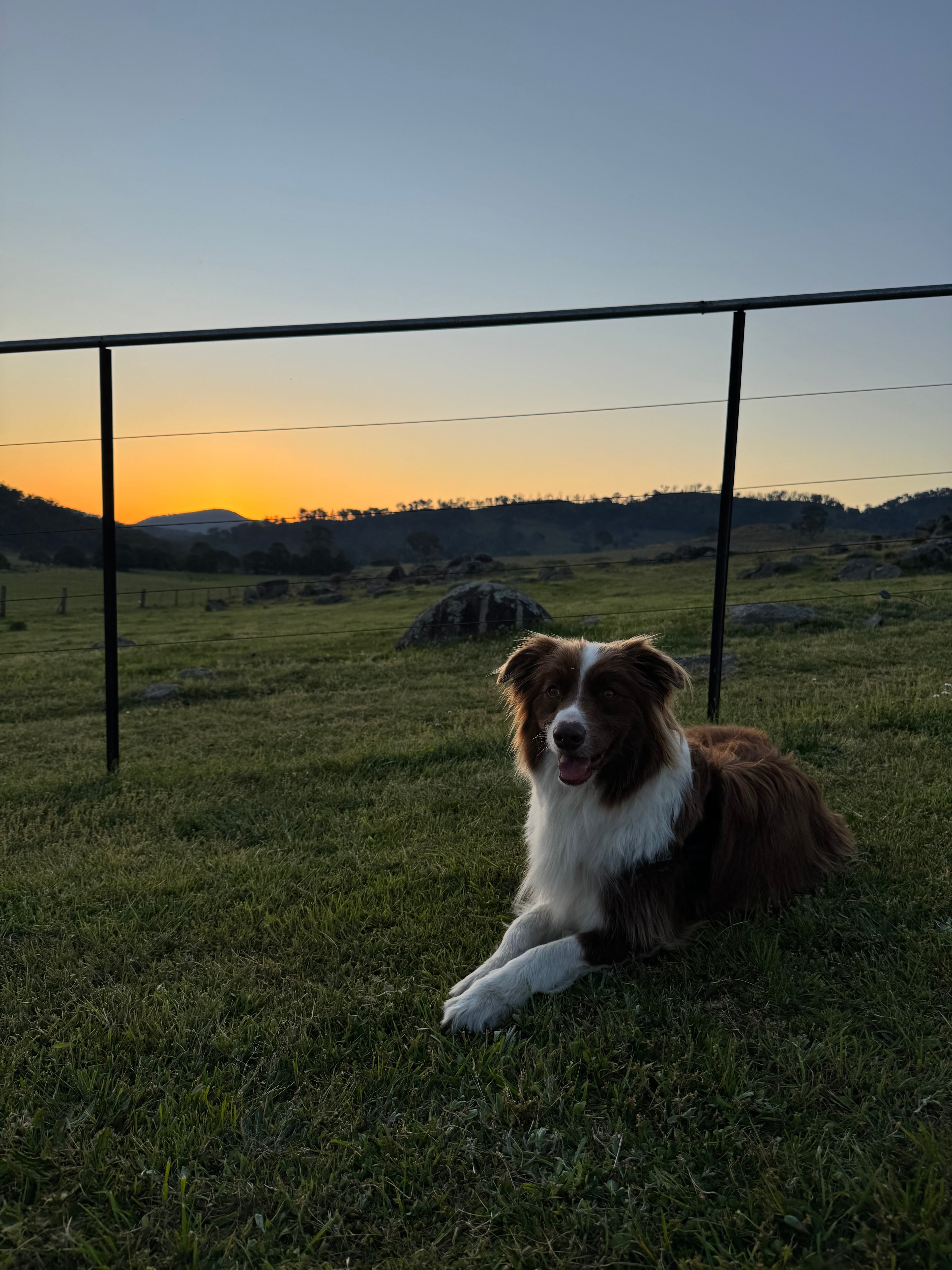 Eden Vale Shearing Shed Camp