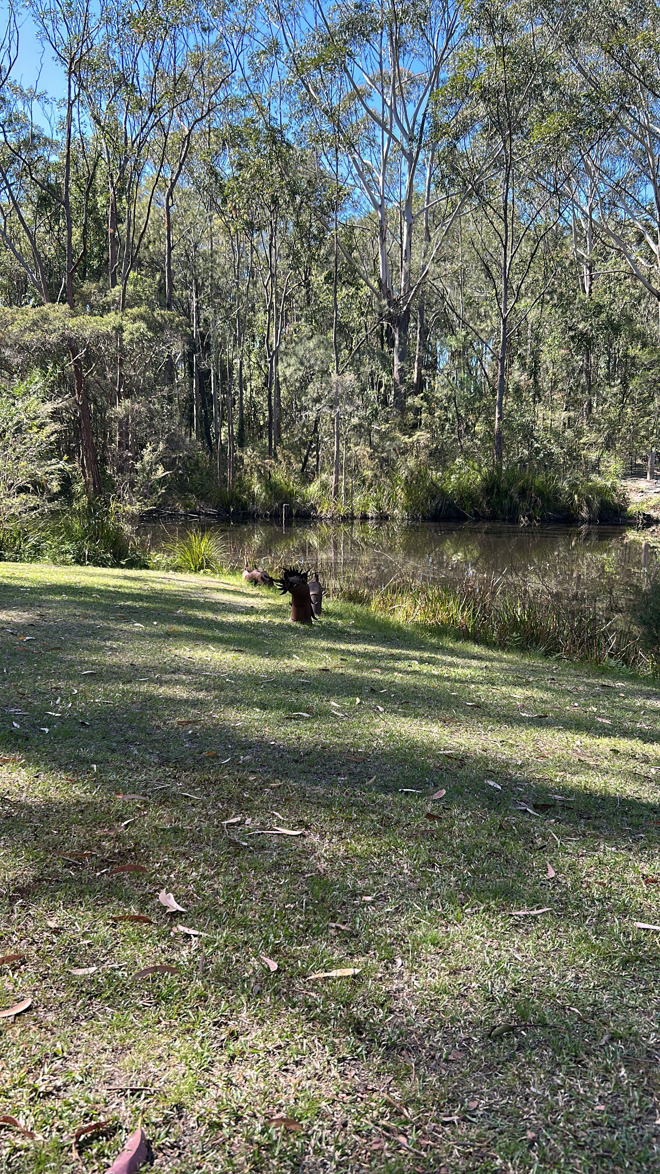 Mistinthegumtrees BUDGET 2 GLAMPING