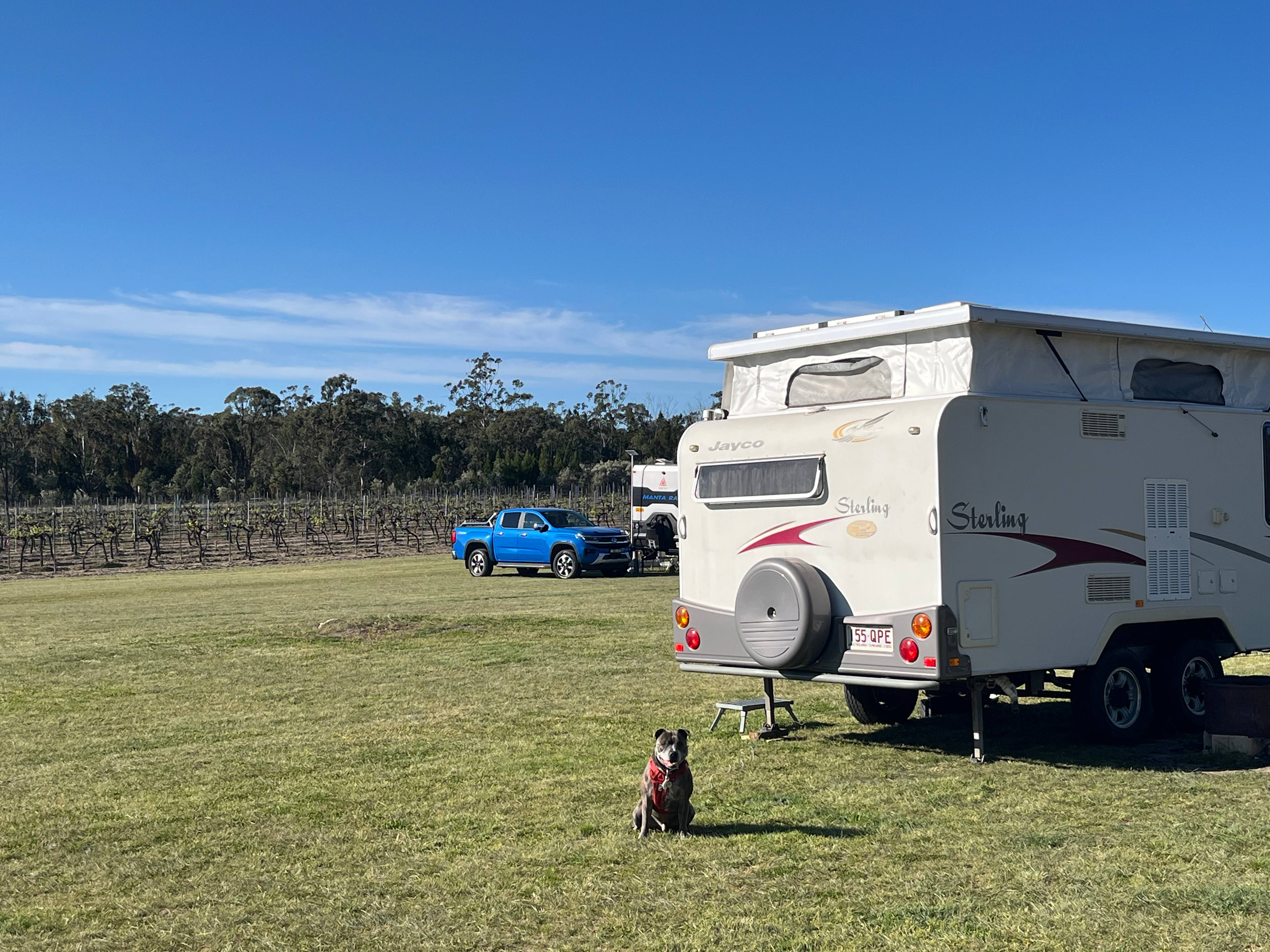 Mountview Wines Camping and Cabins