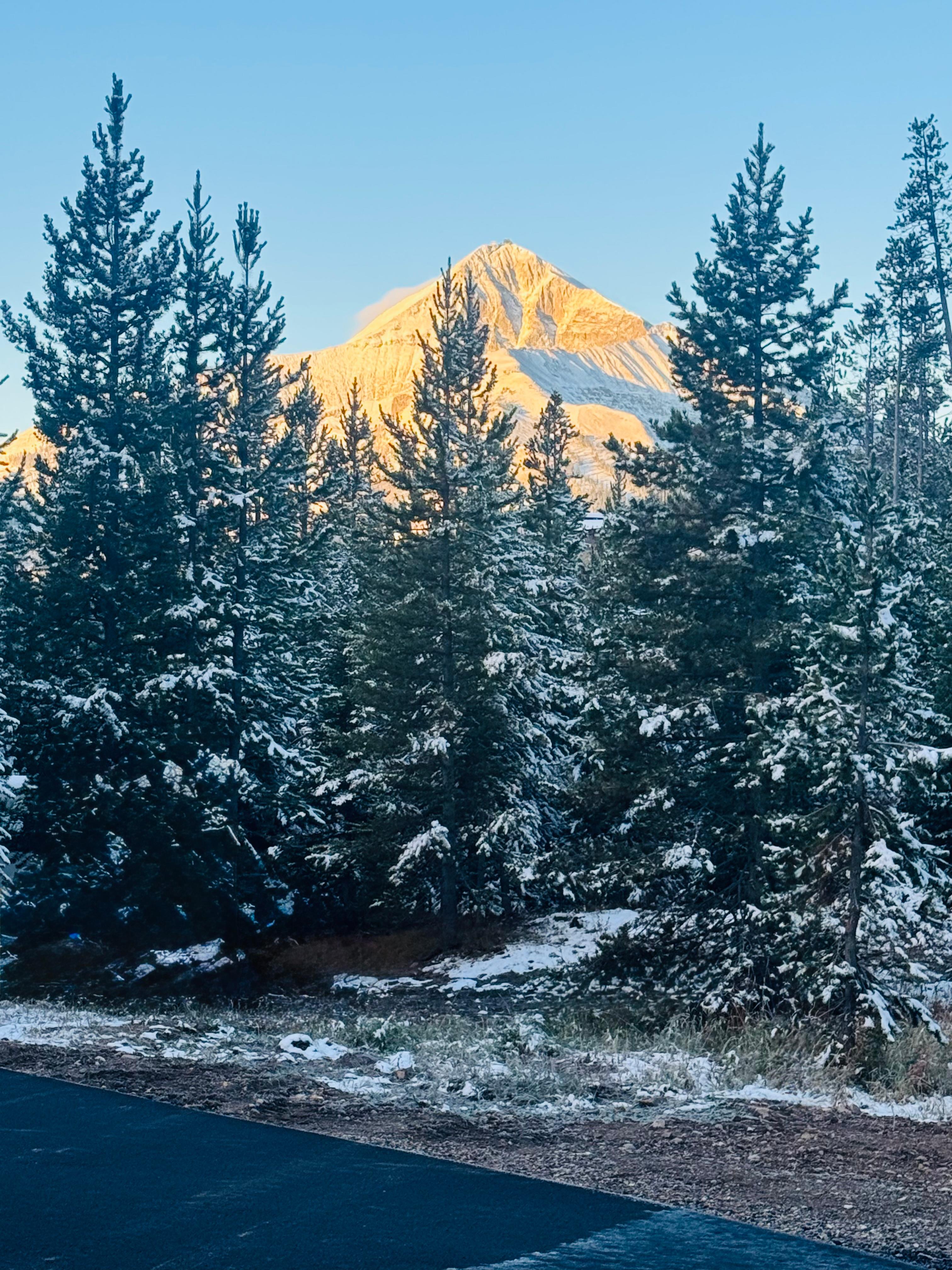 Beehive Basin Basecamp