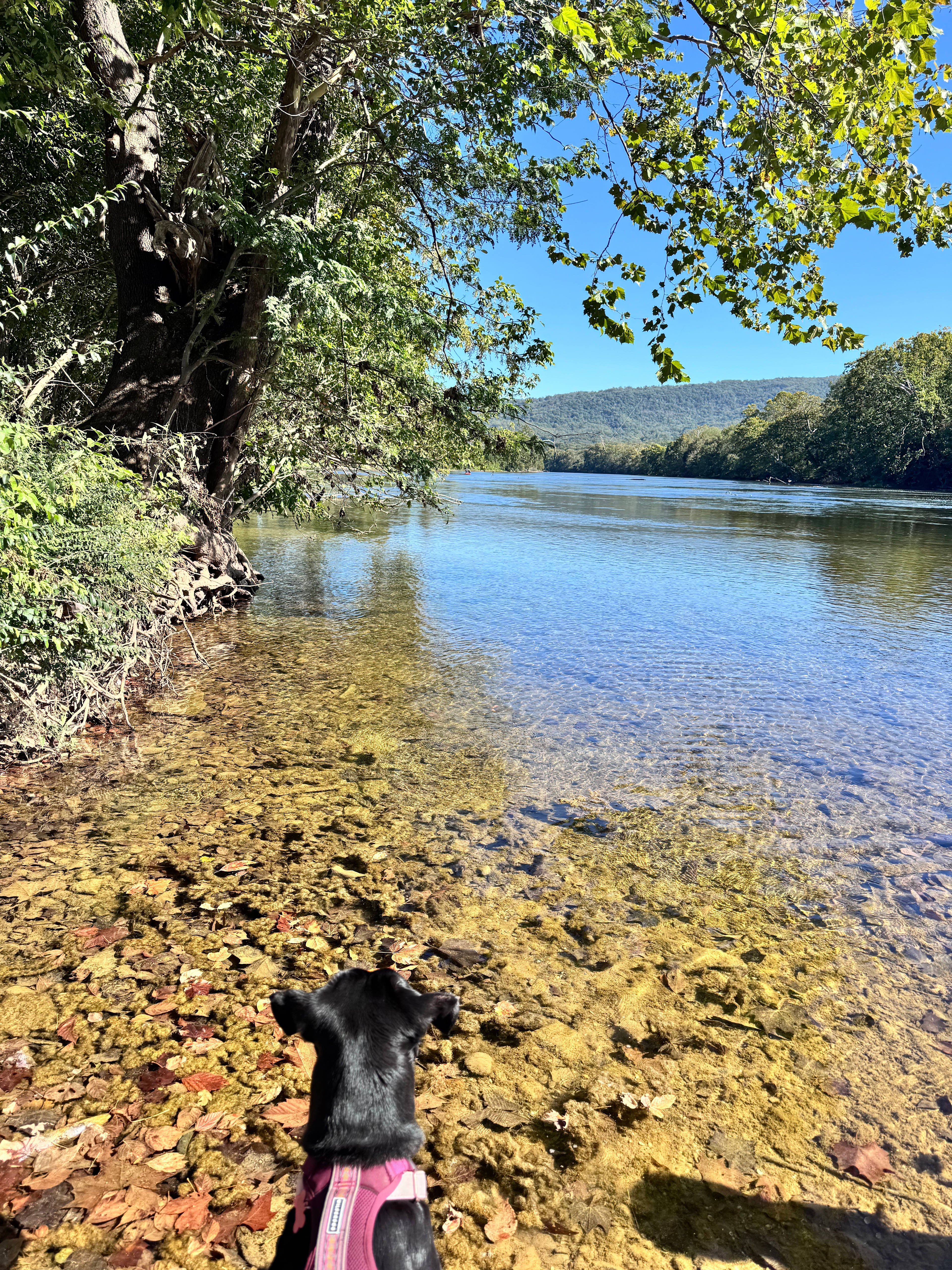 South River Farm Campground