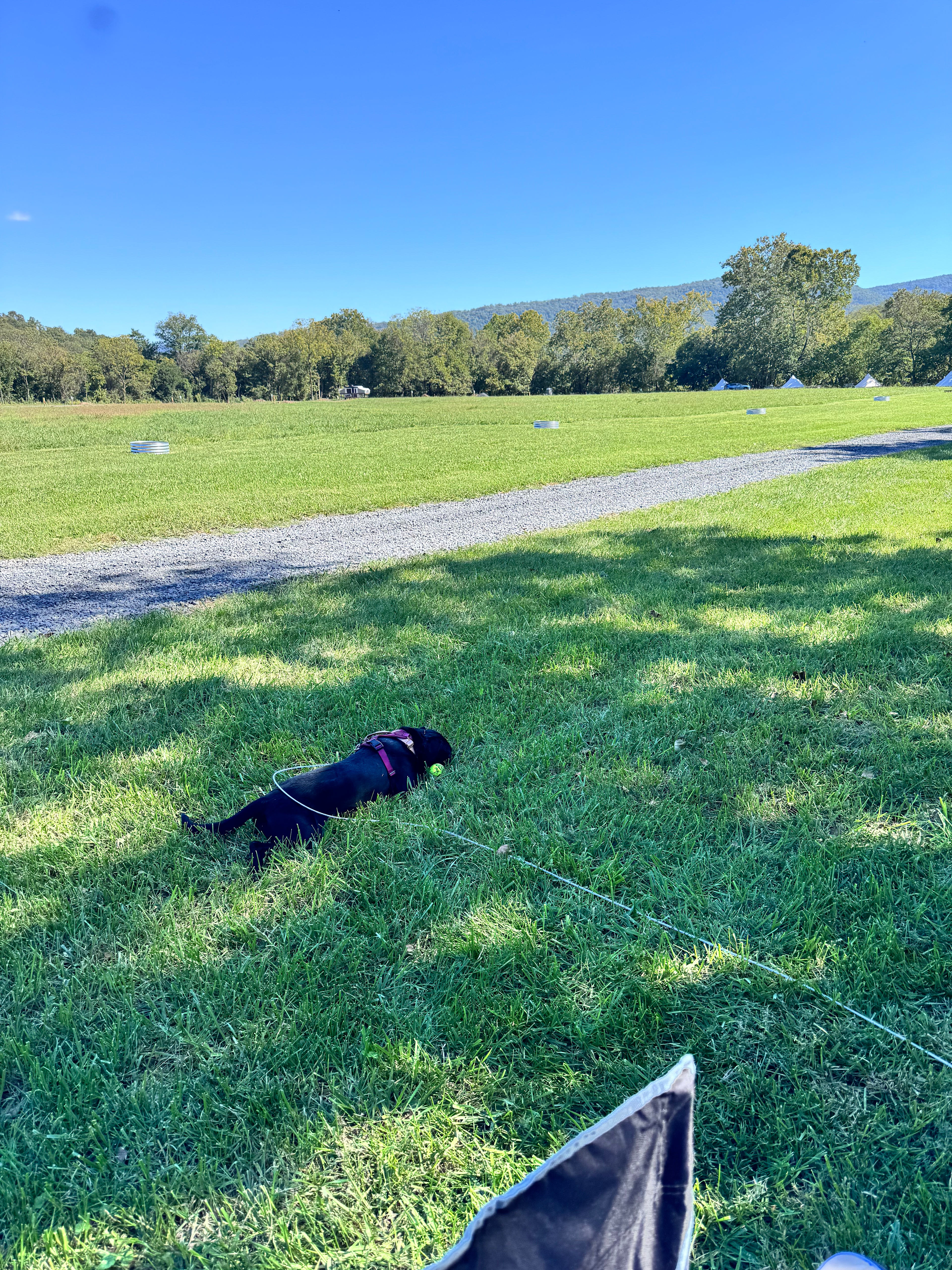 South River Farm Campground