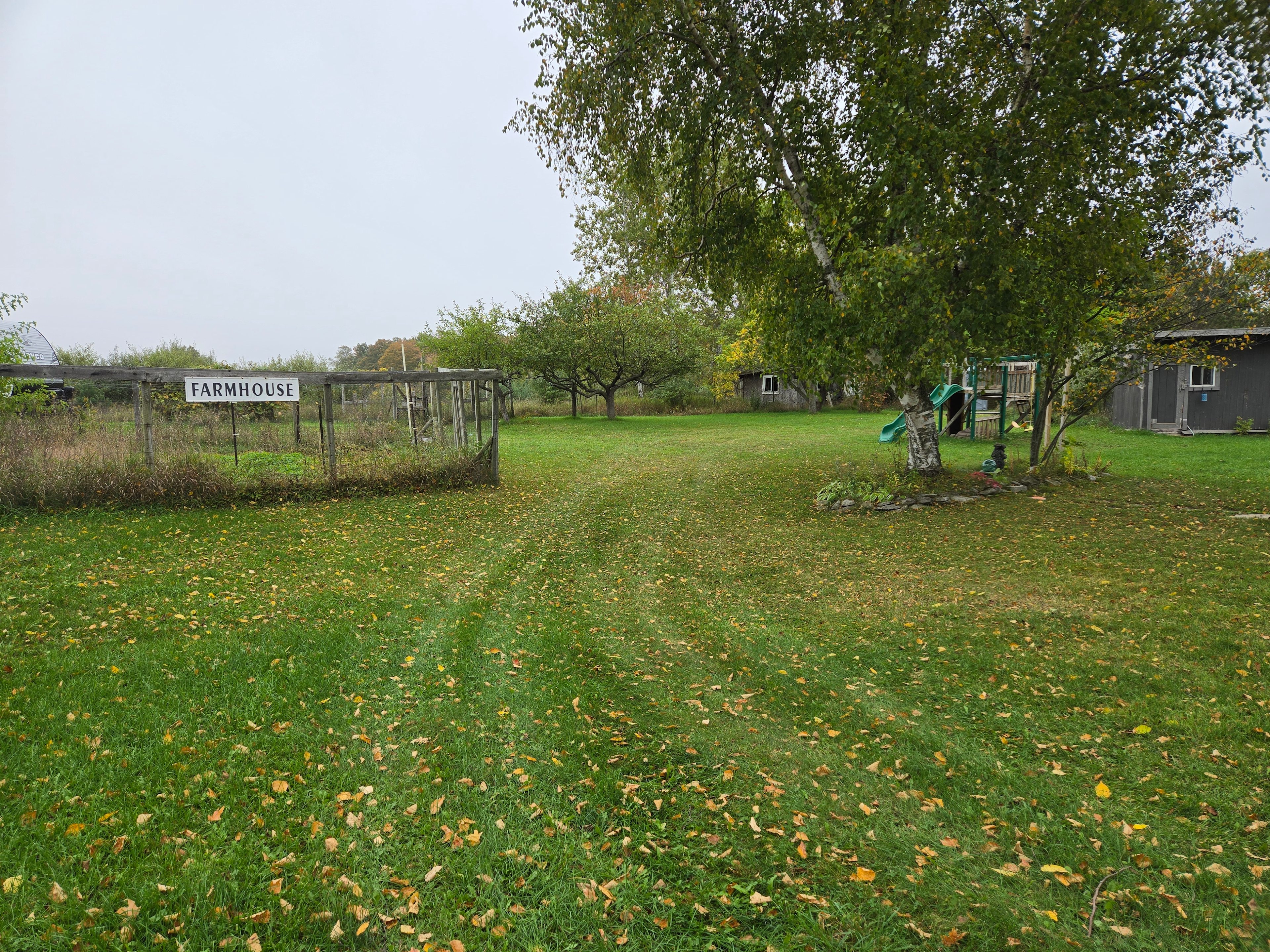 Fun on the Farm