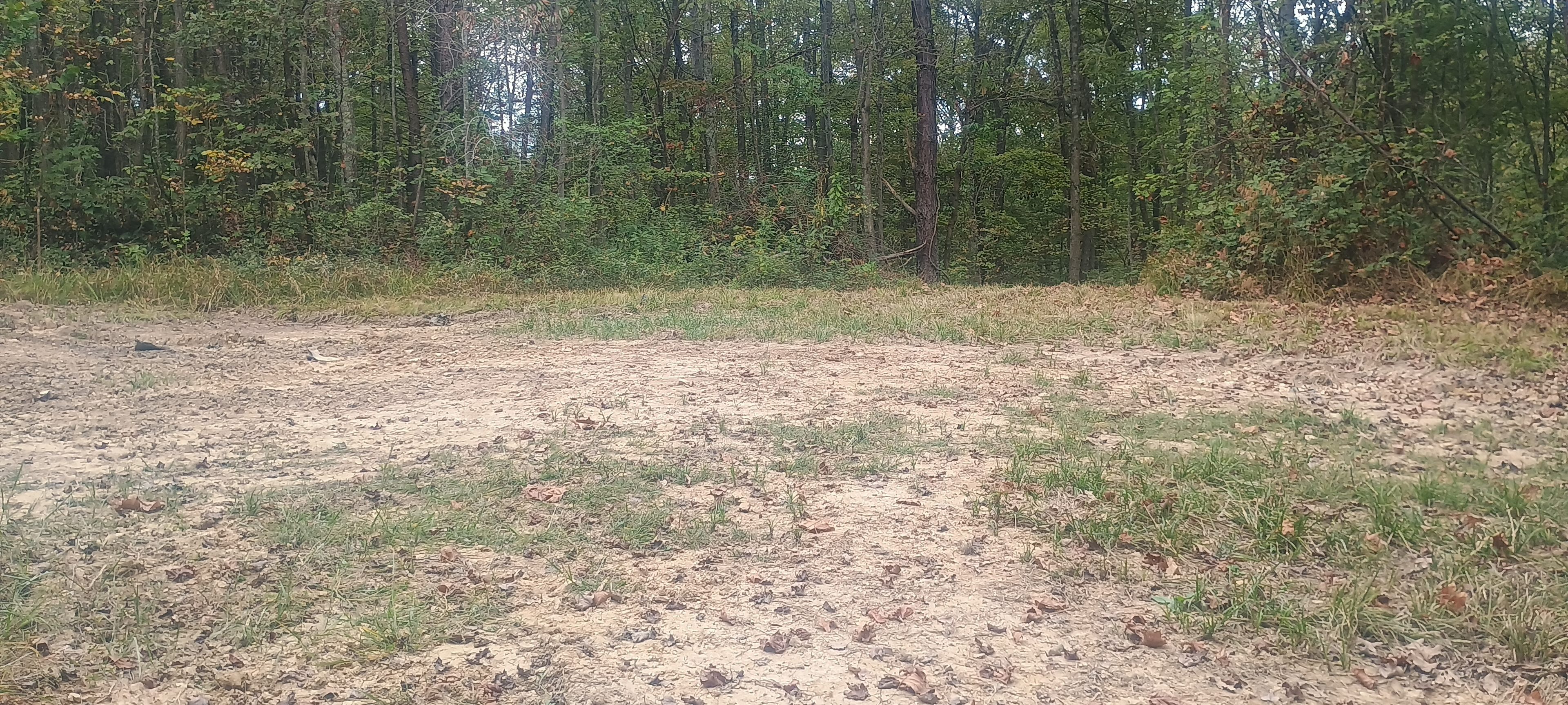 Wild Ridge Campsites and LodgingLLC
