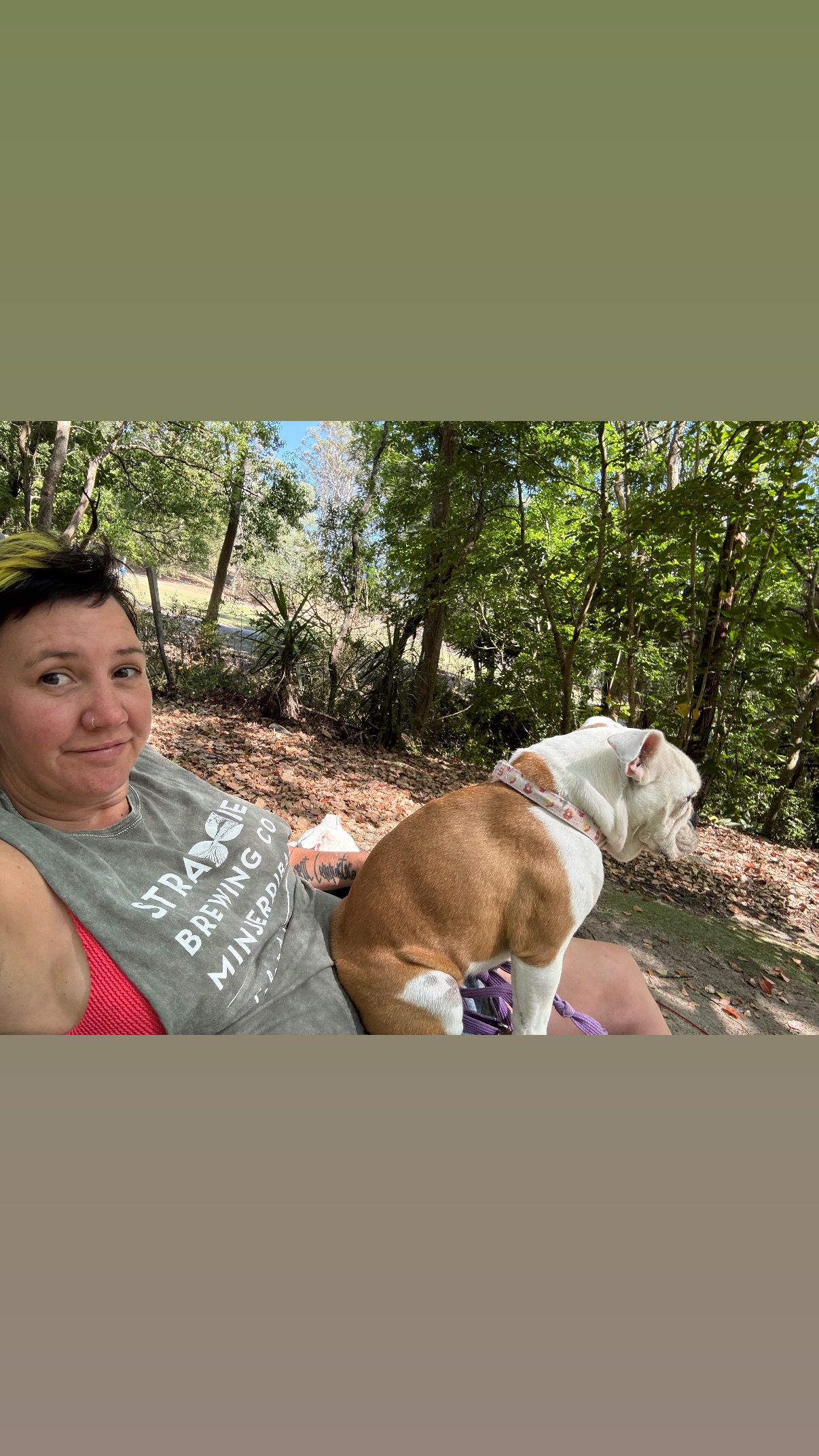 The Enchanted Paddock