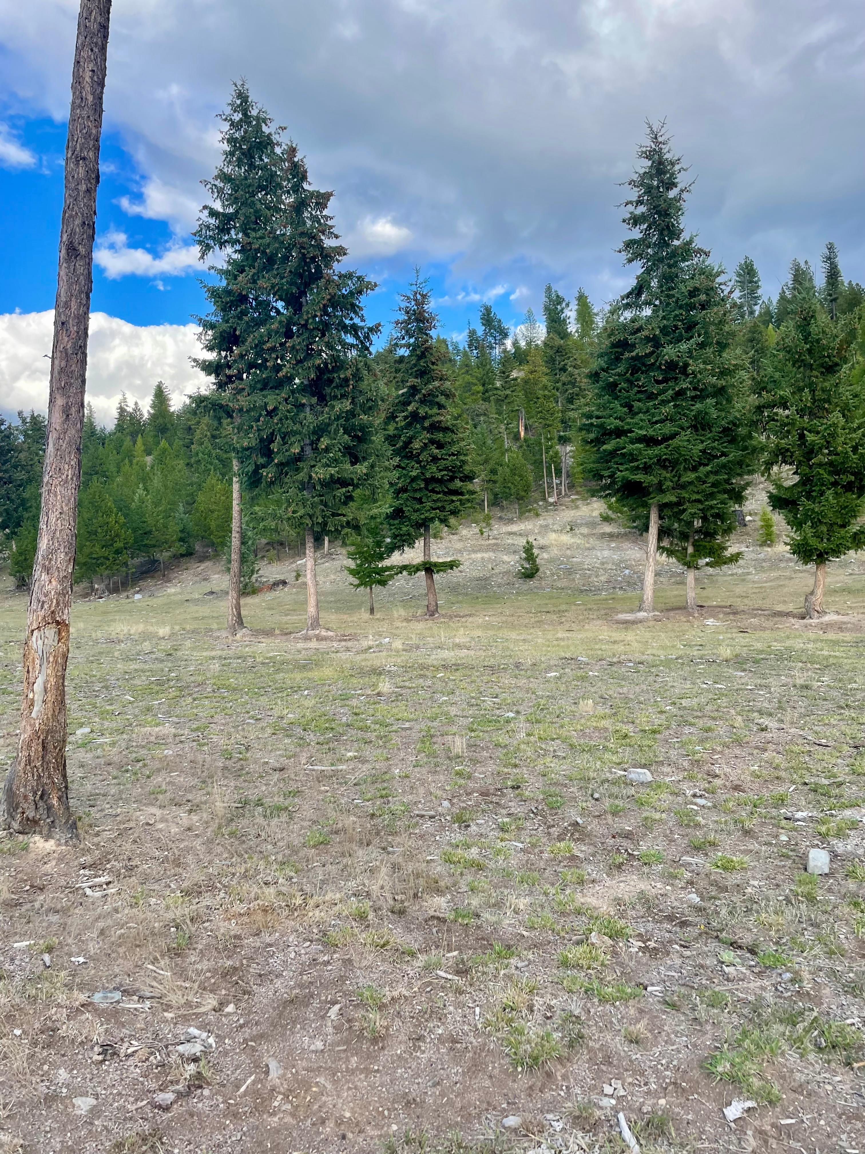 Blue Mountain Campsites