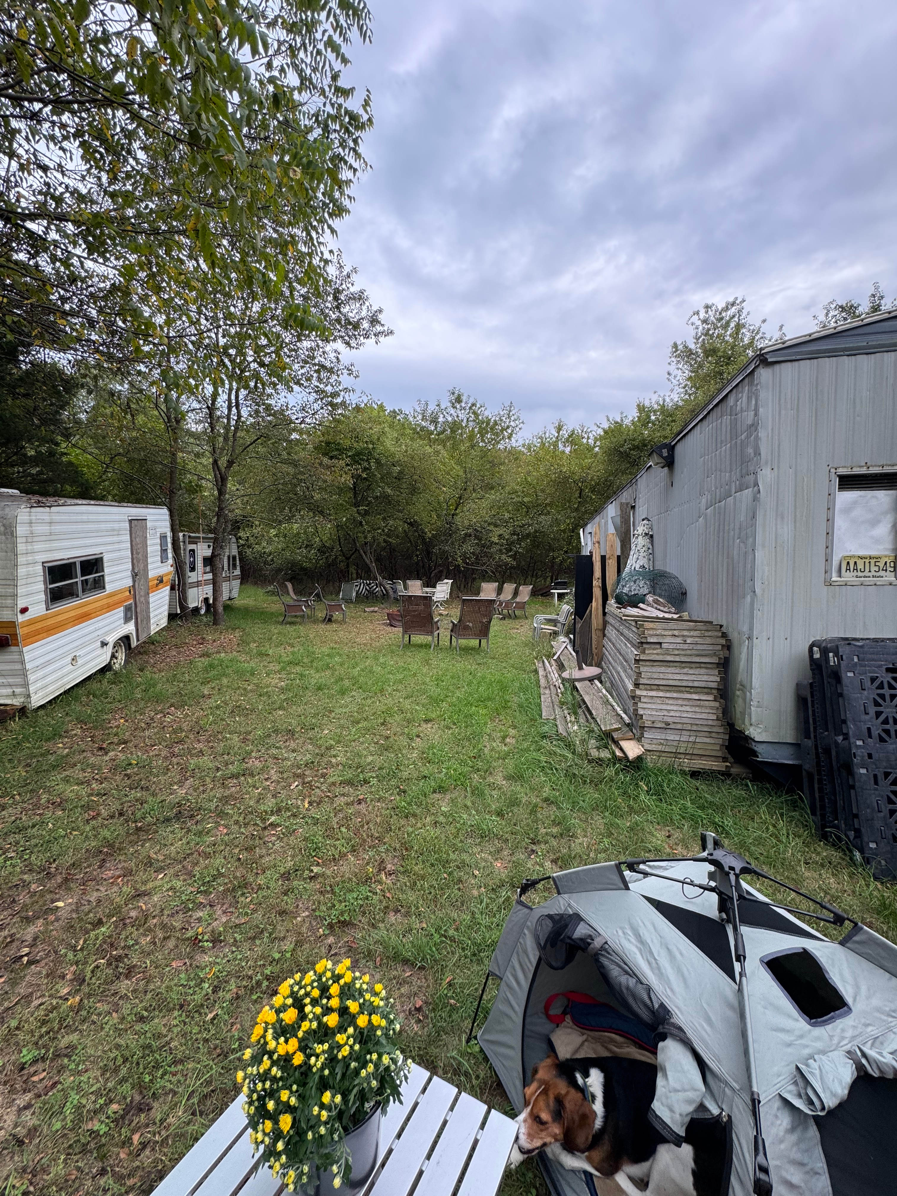 Howell Fireside Chills