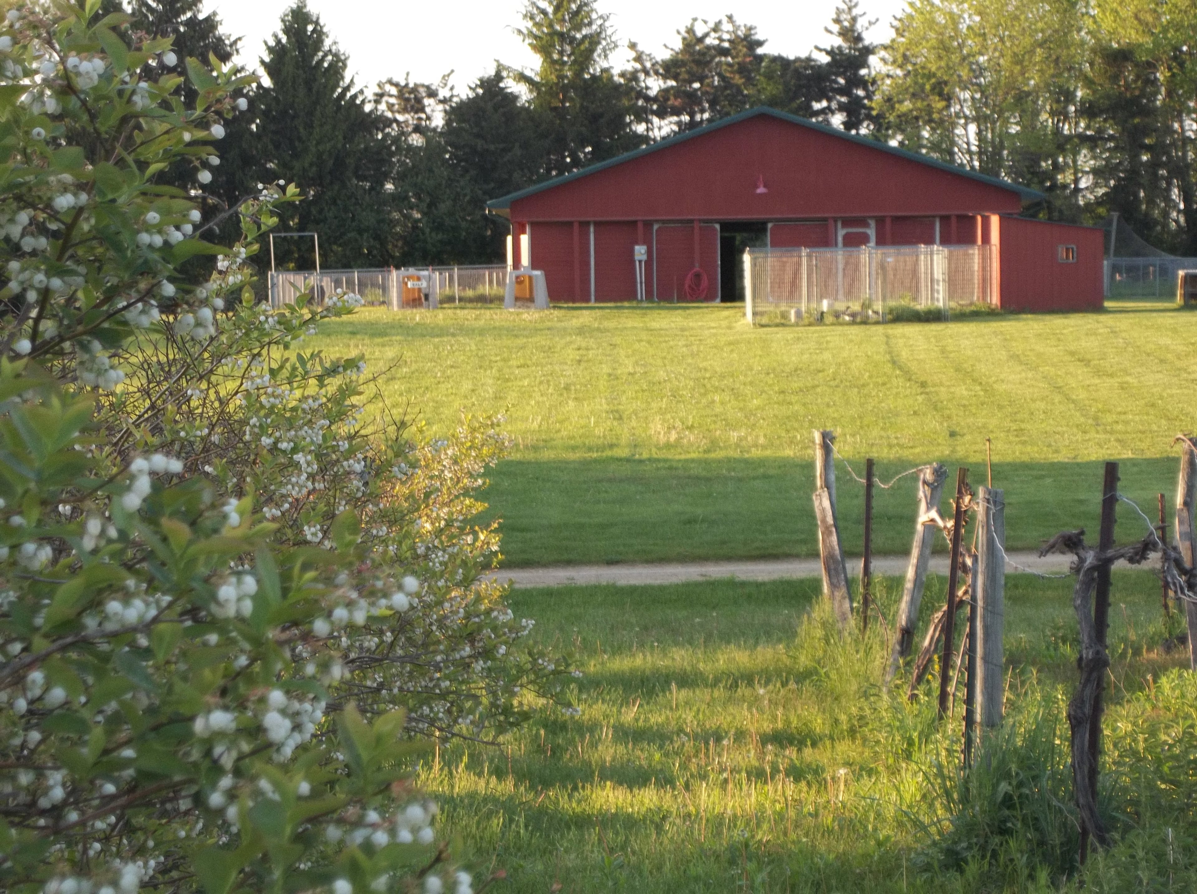 Back To Your Youth Camp