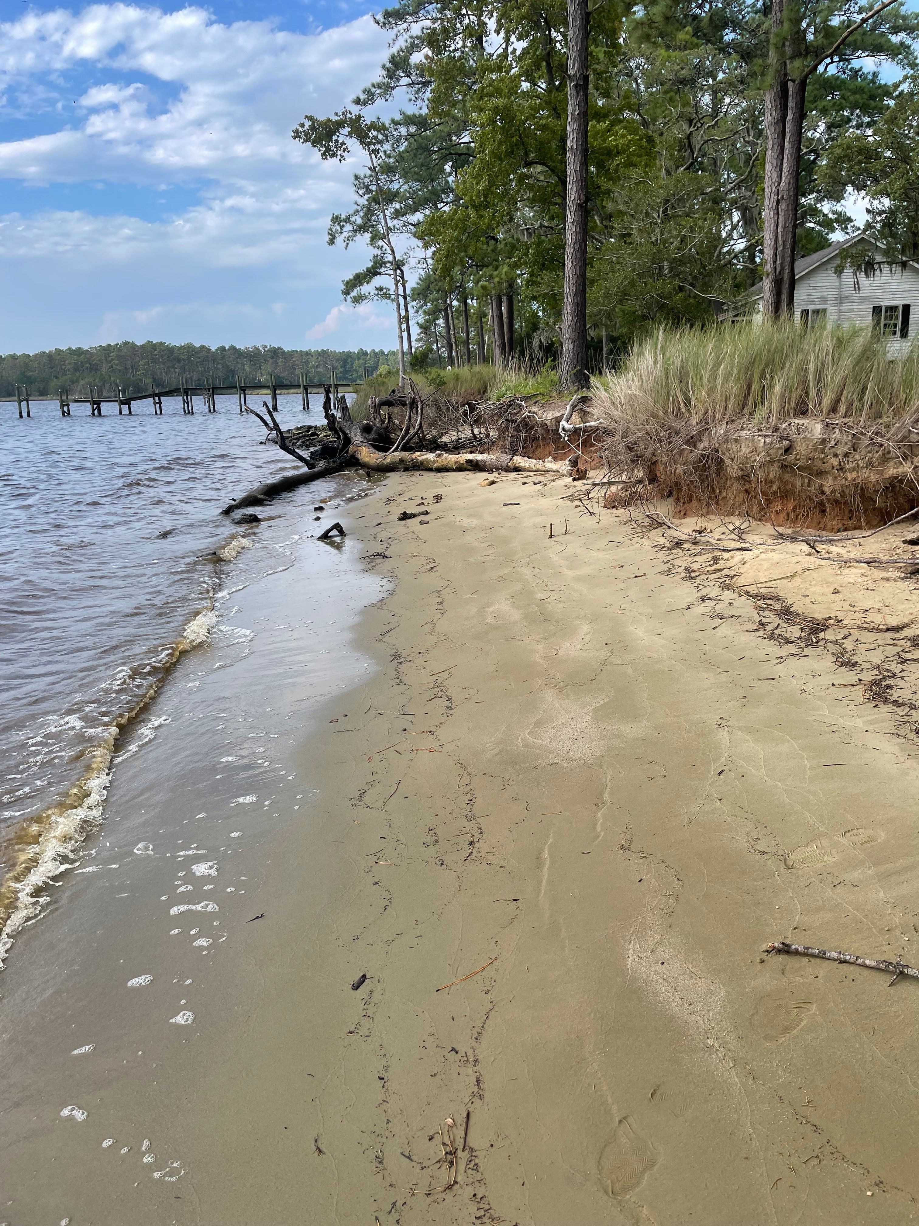 160 Acres  1700's waterfront forest
