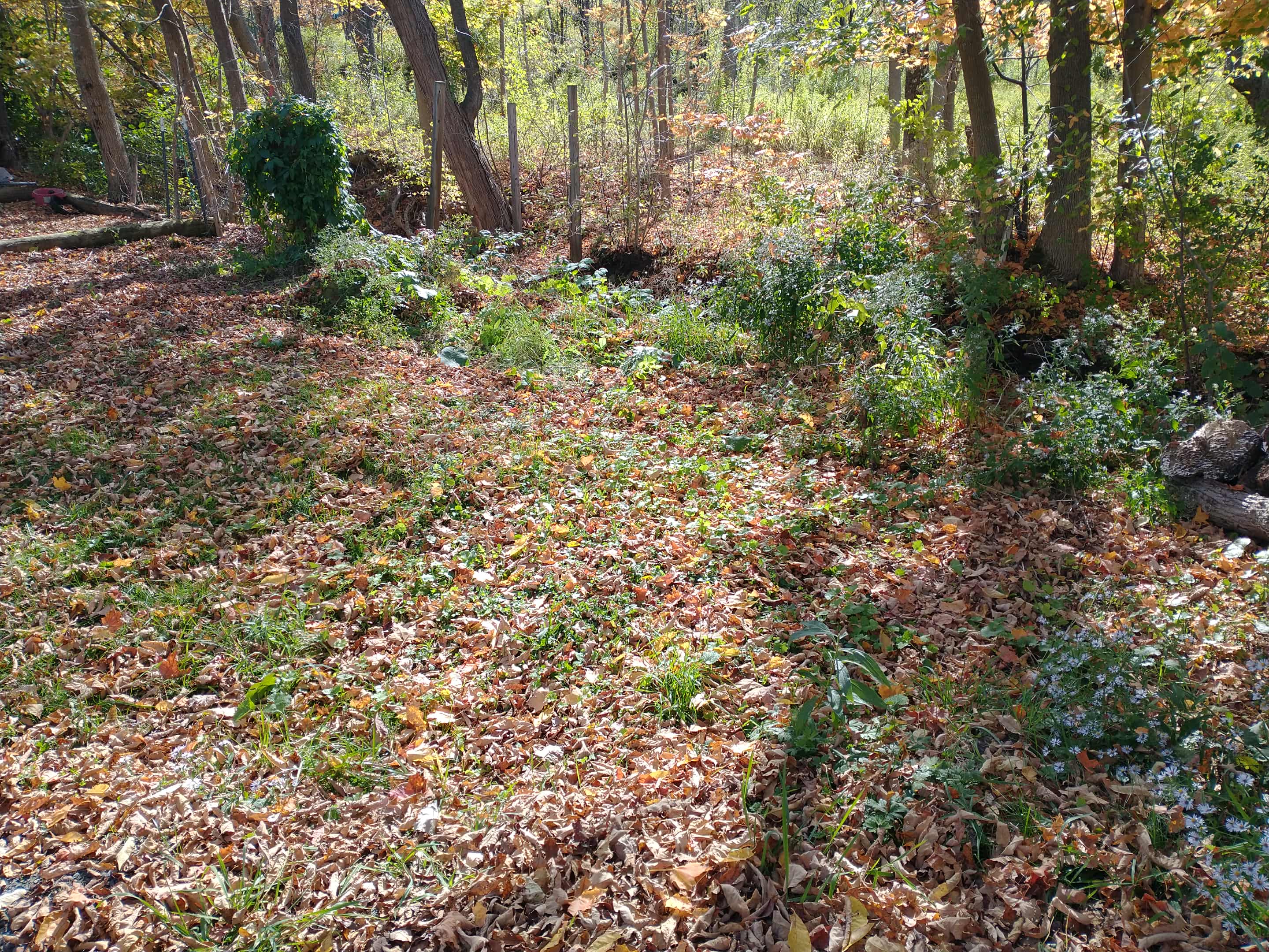 Luxury Glamping Cabin