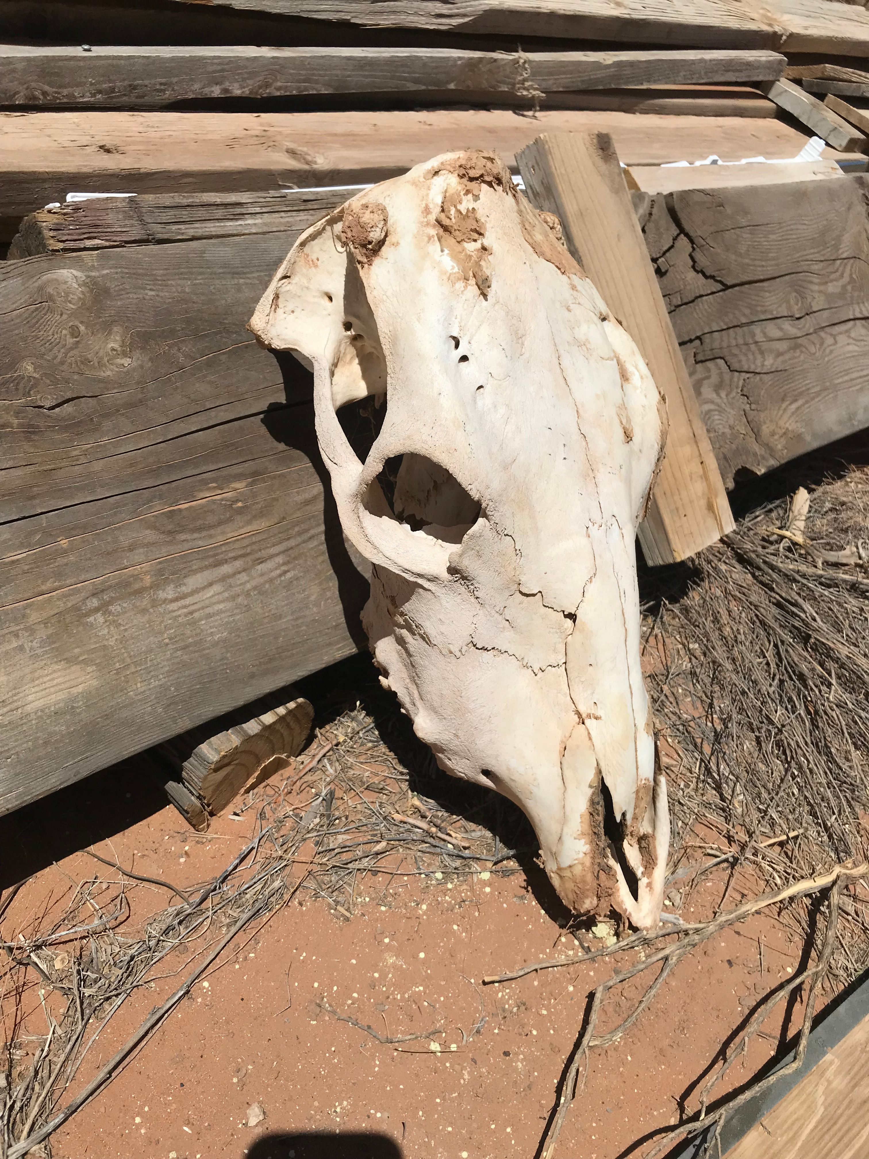 KB Horse Rv/Van/Tent Camp