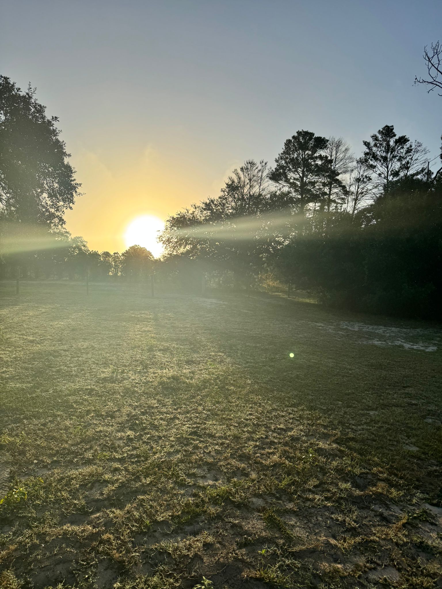 The Nature Coast Beacon