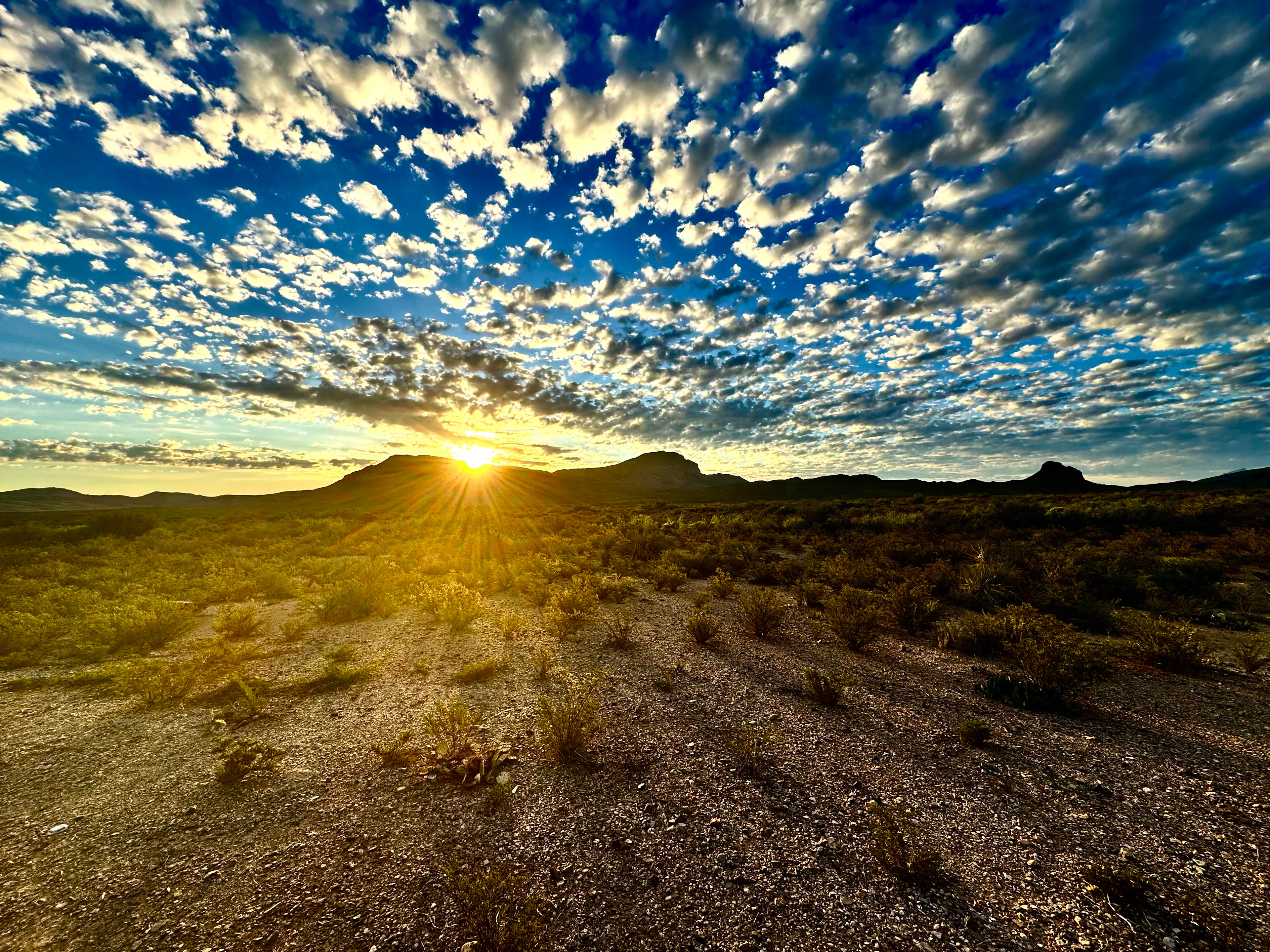 Your Big Bend Basecamp @ LH Safari