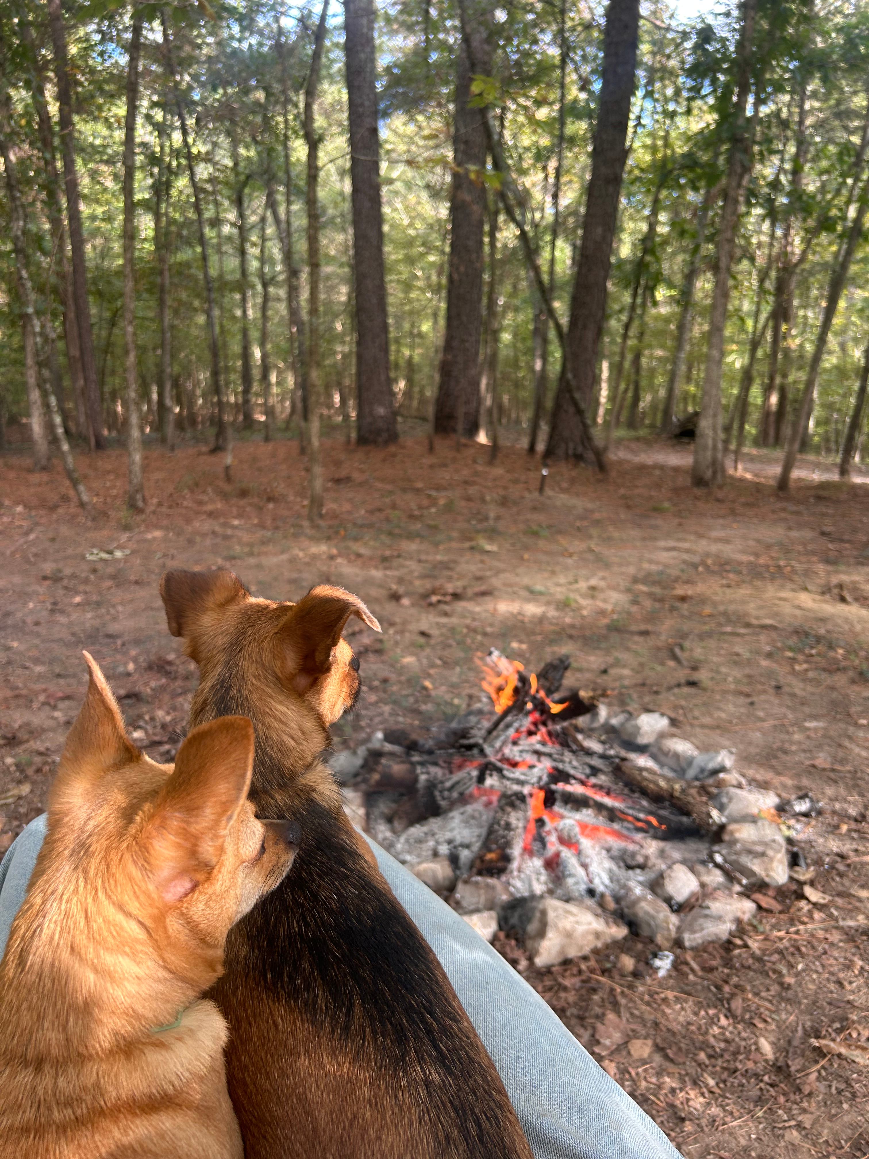 Covenant View Camp and Retreat