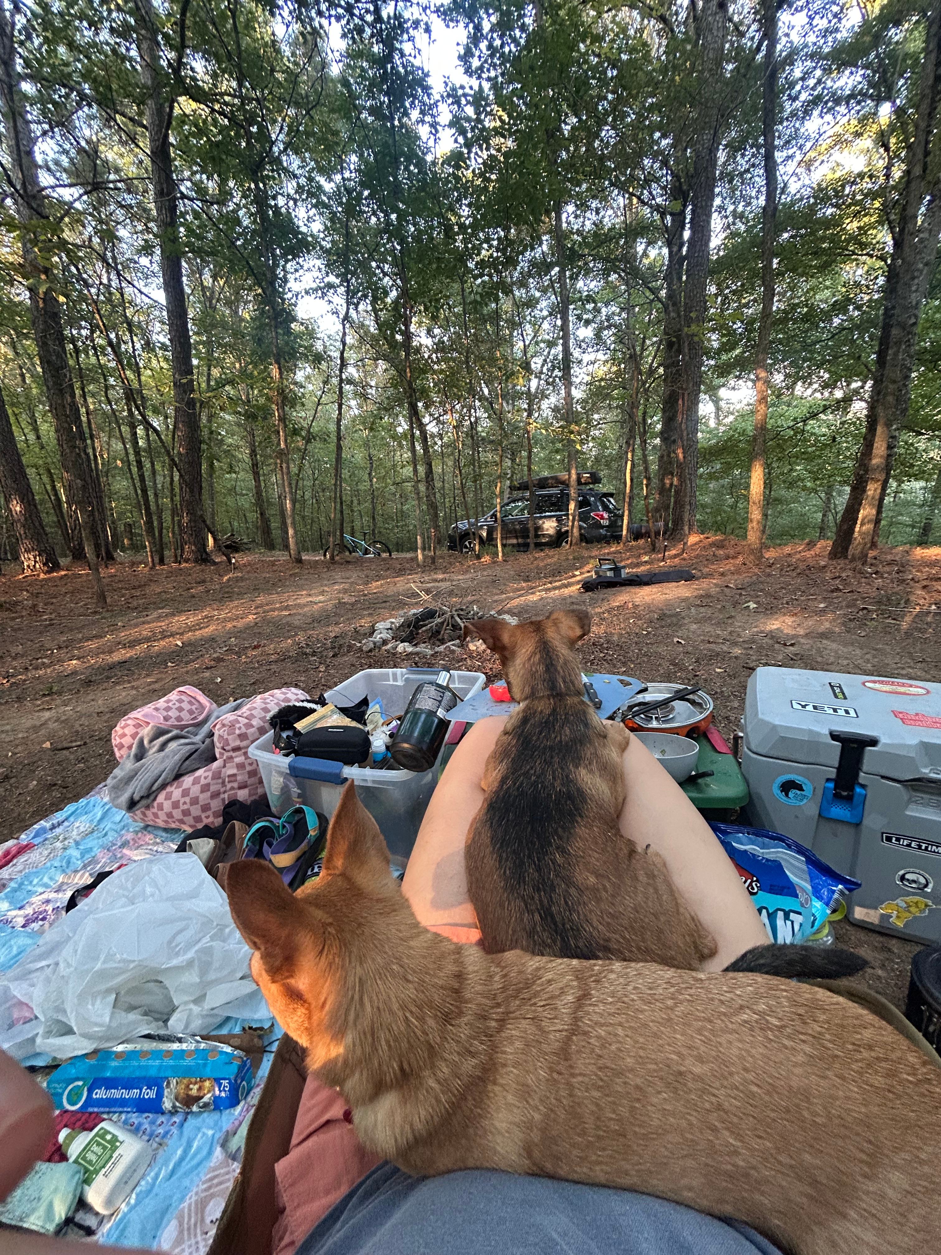 Covenant View Camp and Retreat