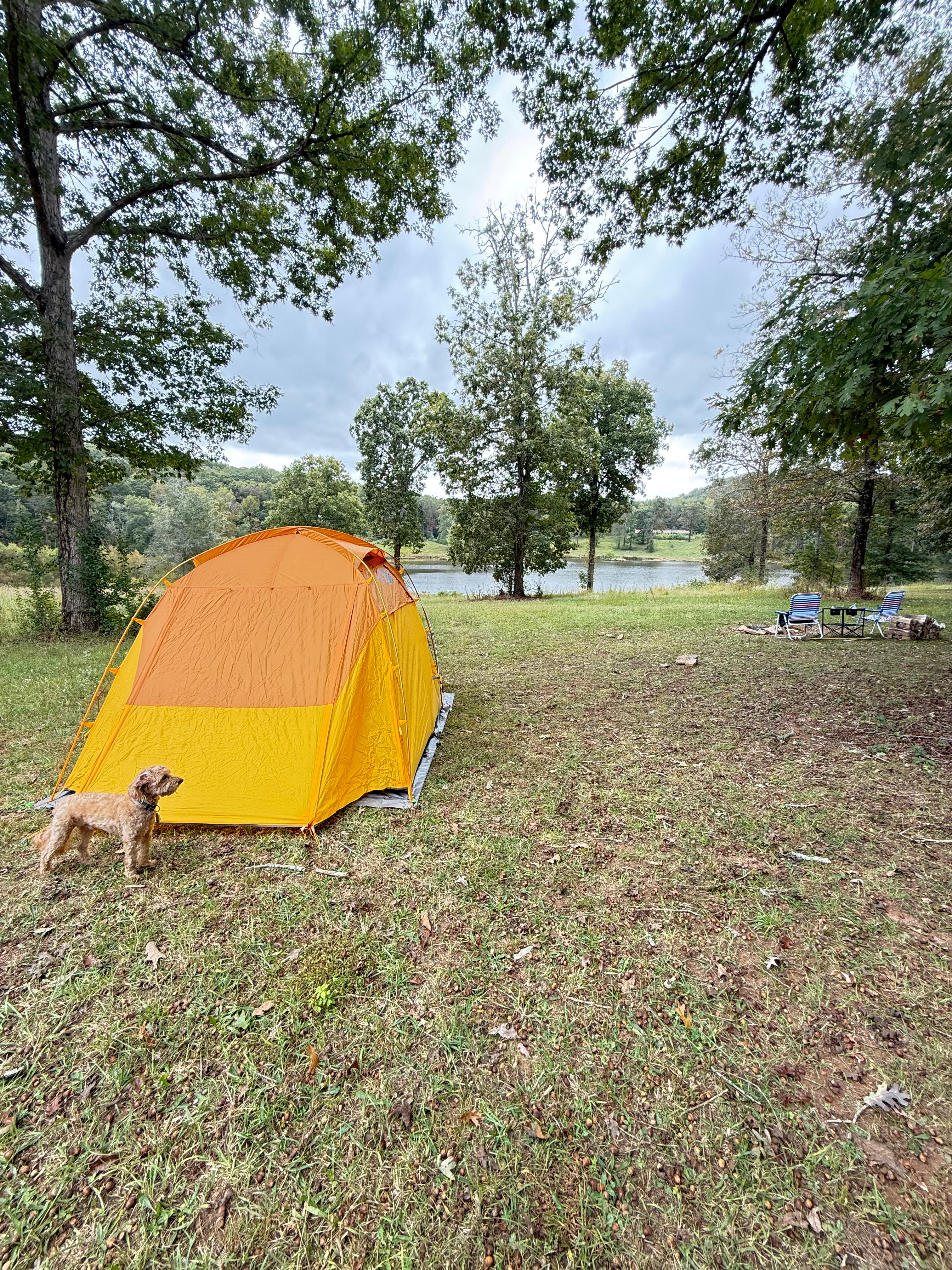 Owls Nest Private Campground with PICKLEBALL access to two new courts