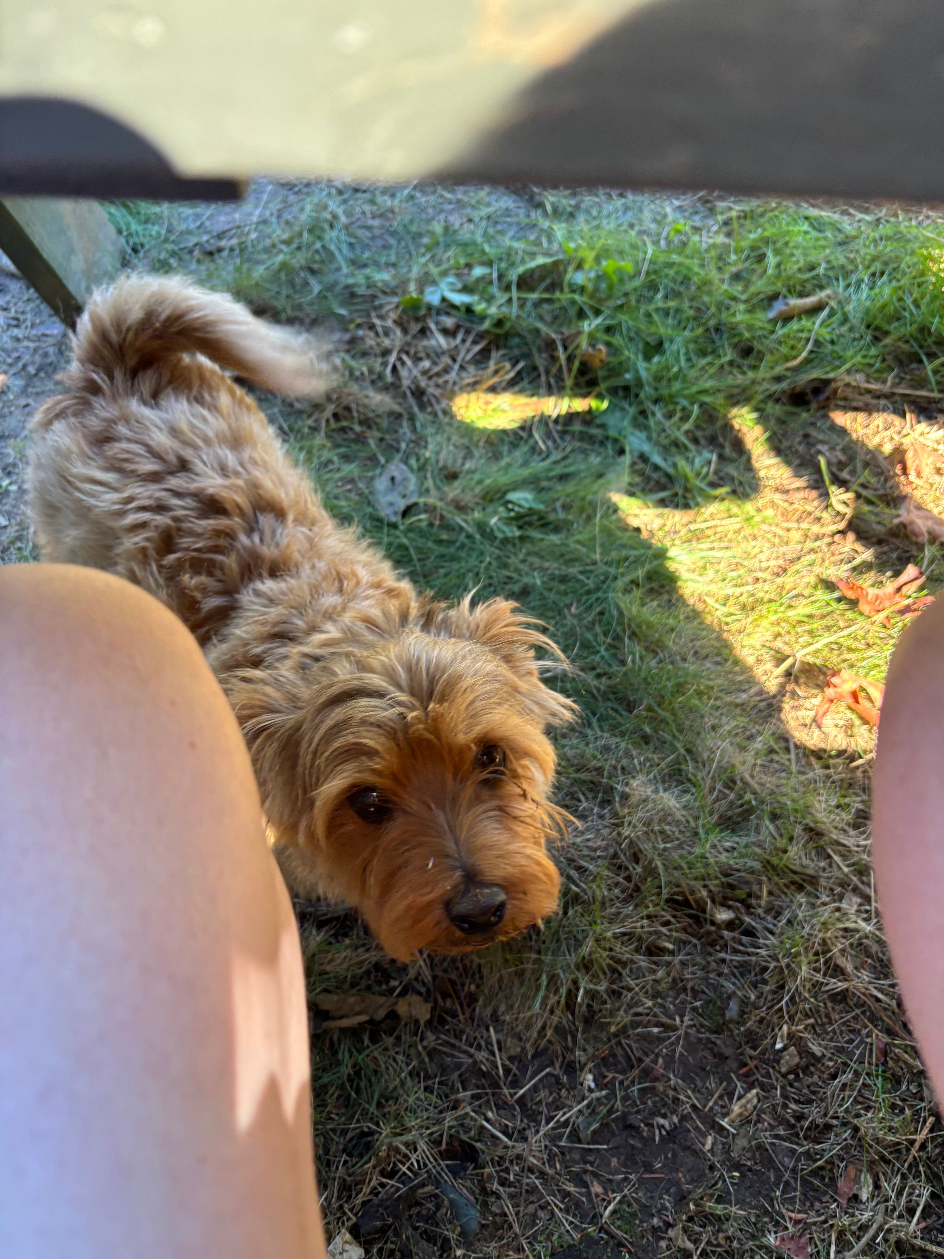 Clear Light Valley Retreat