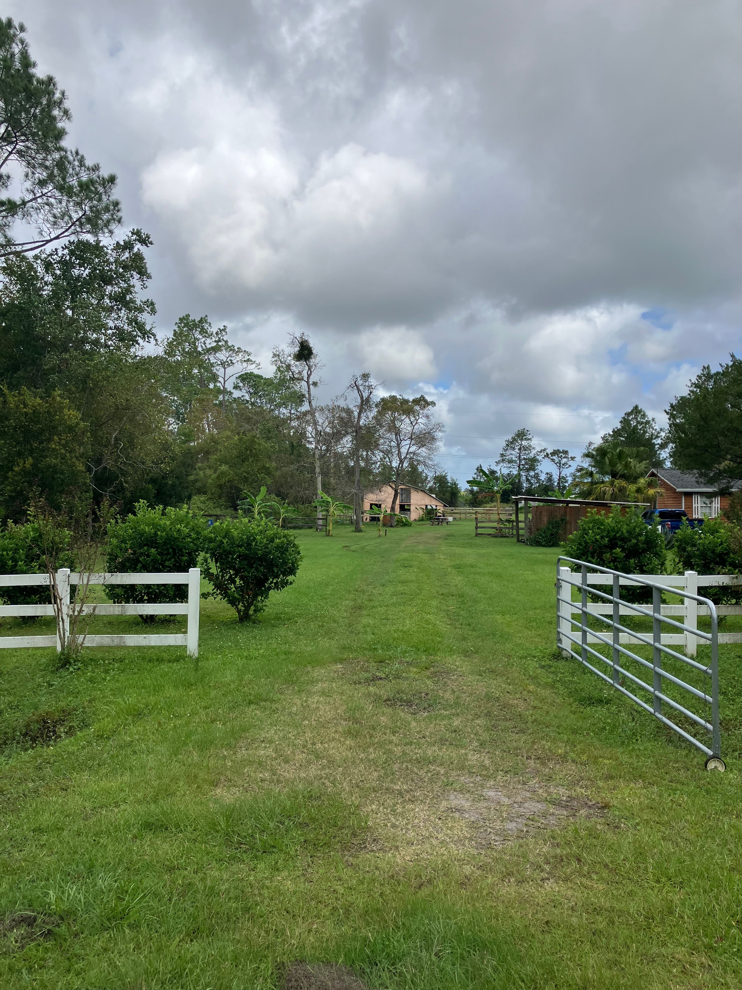 Molasses Junction Stables