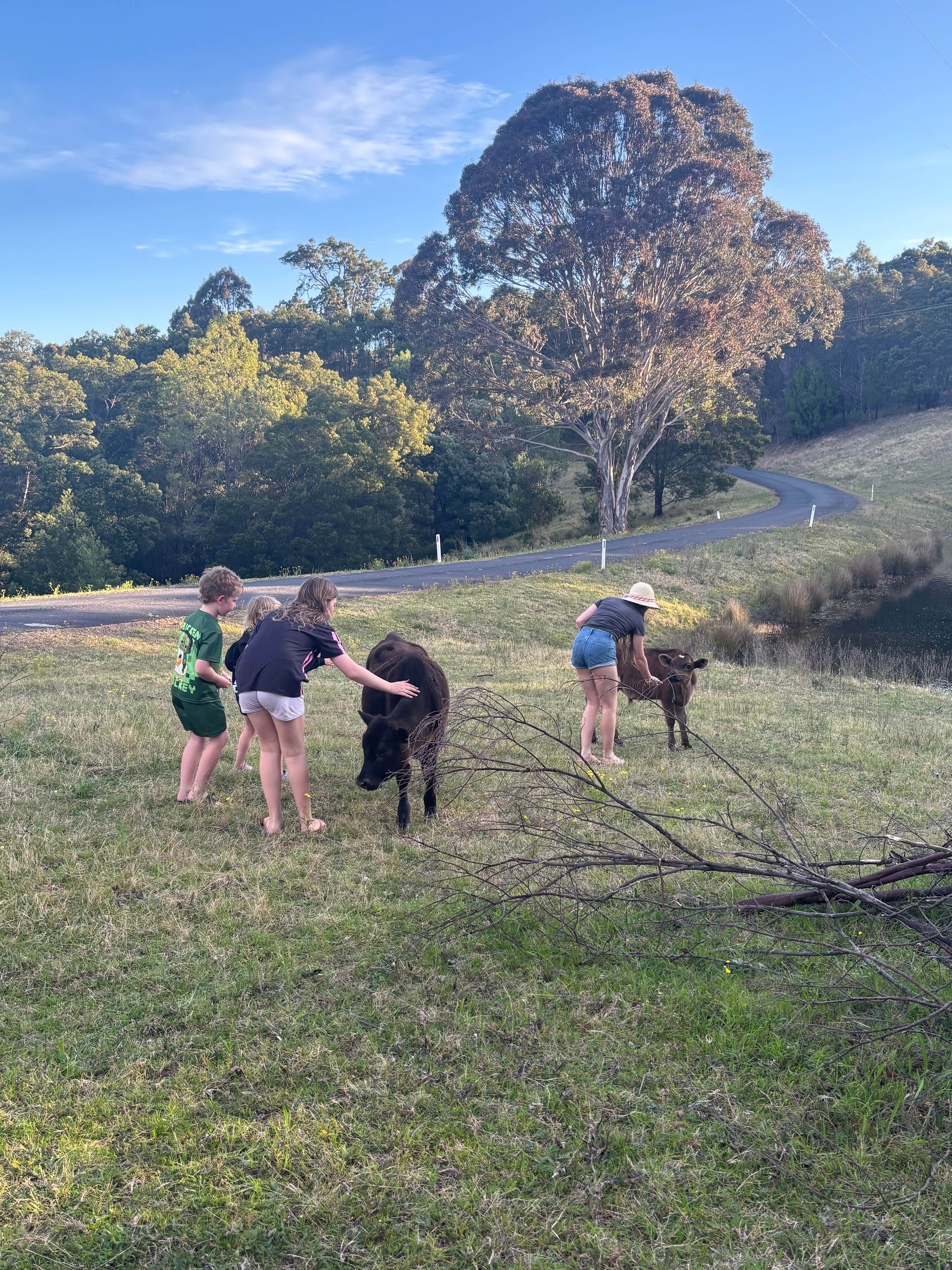 Bega Valley and Mountain Views