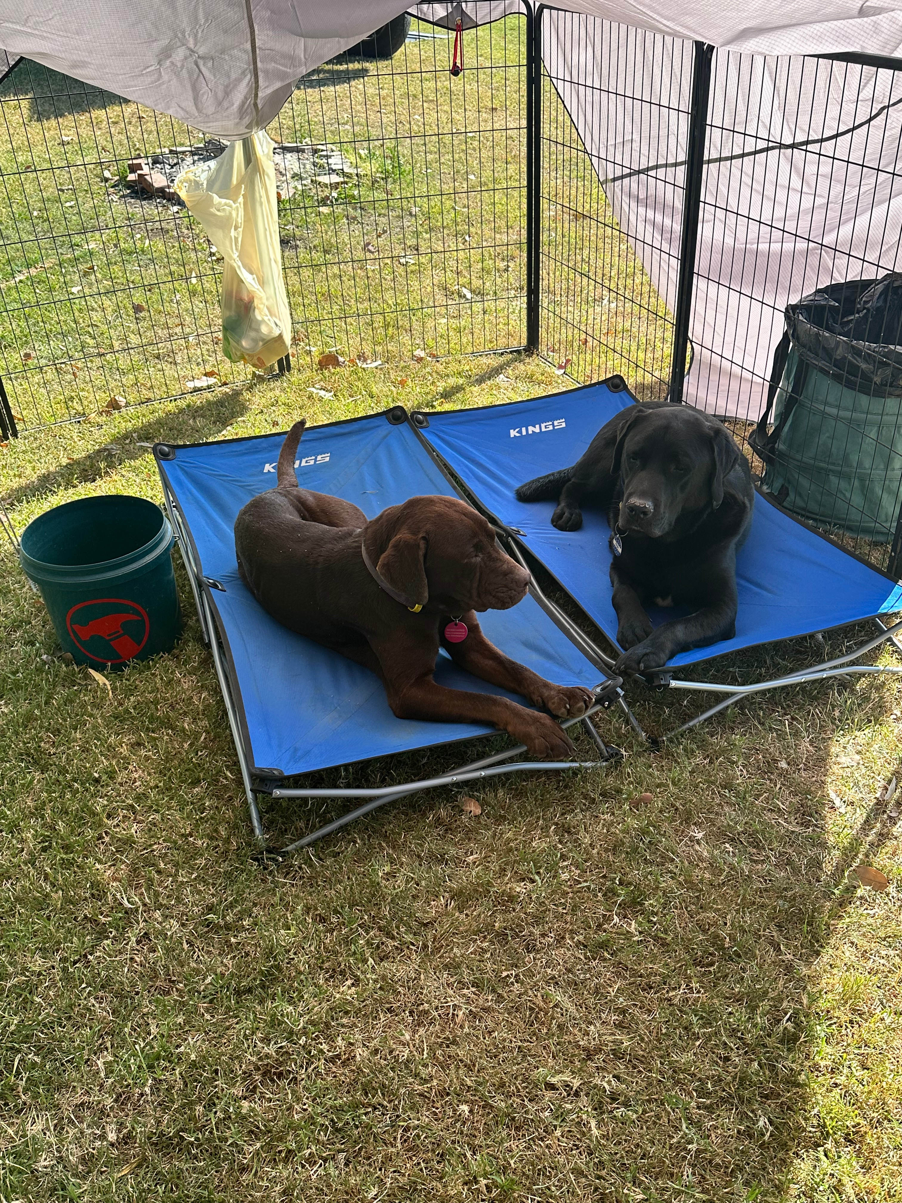 Scenic Retreat - Teviotville