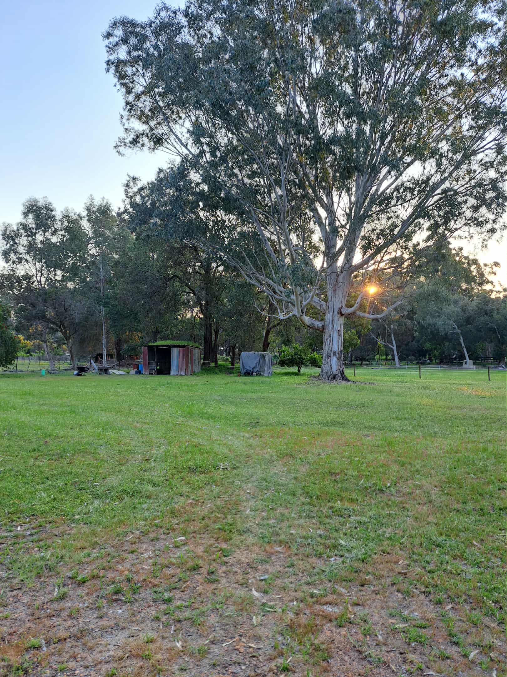 Lemmey House Farm