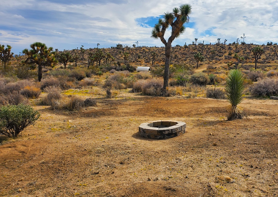 The Valley - 15 min to Joshua Park