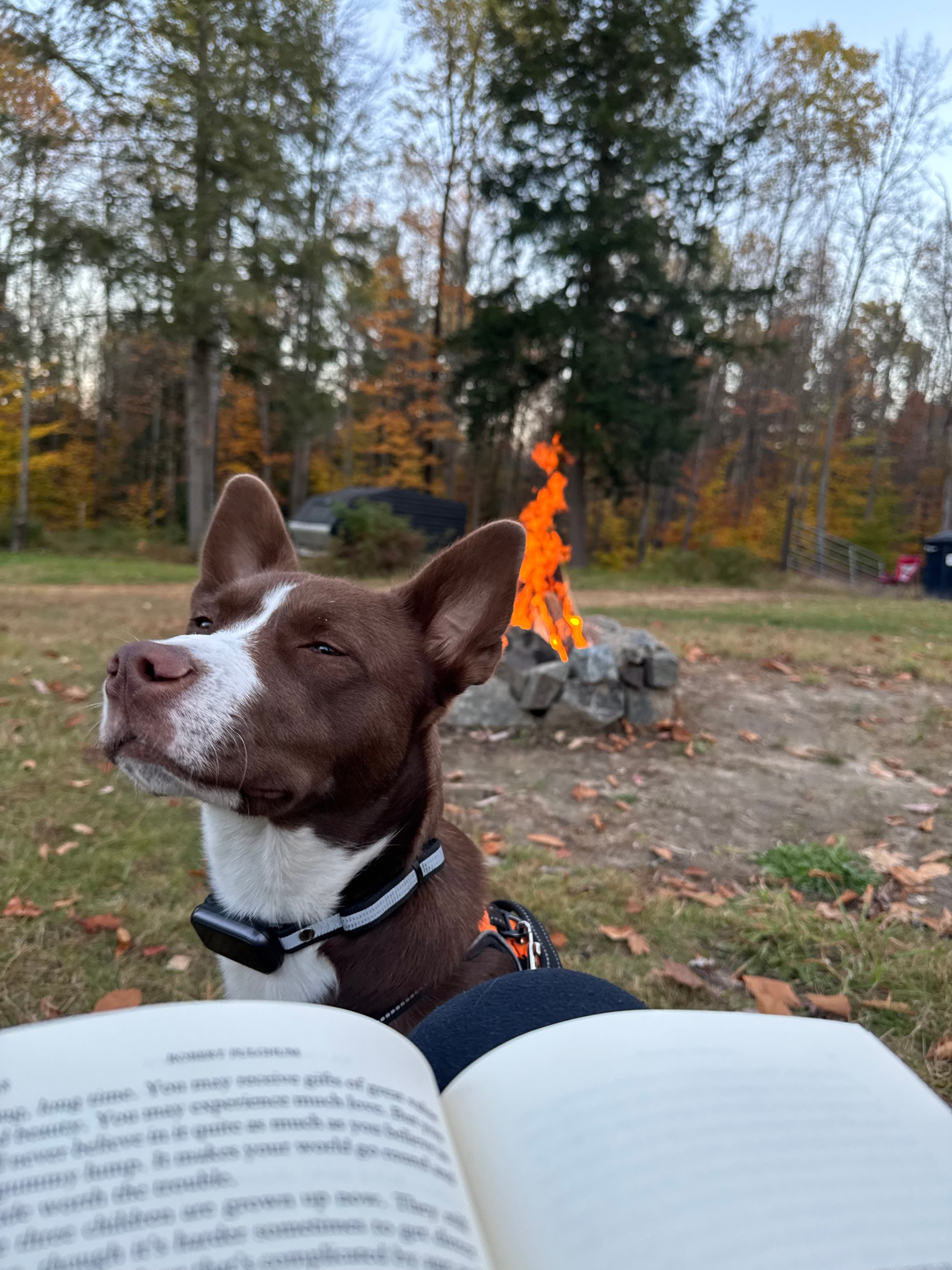 Can you say relaxing?!?!