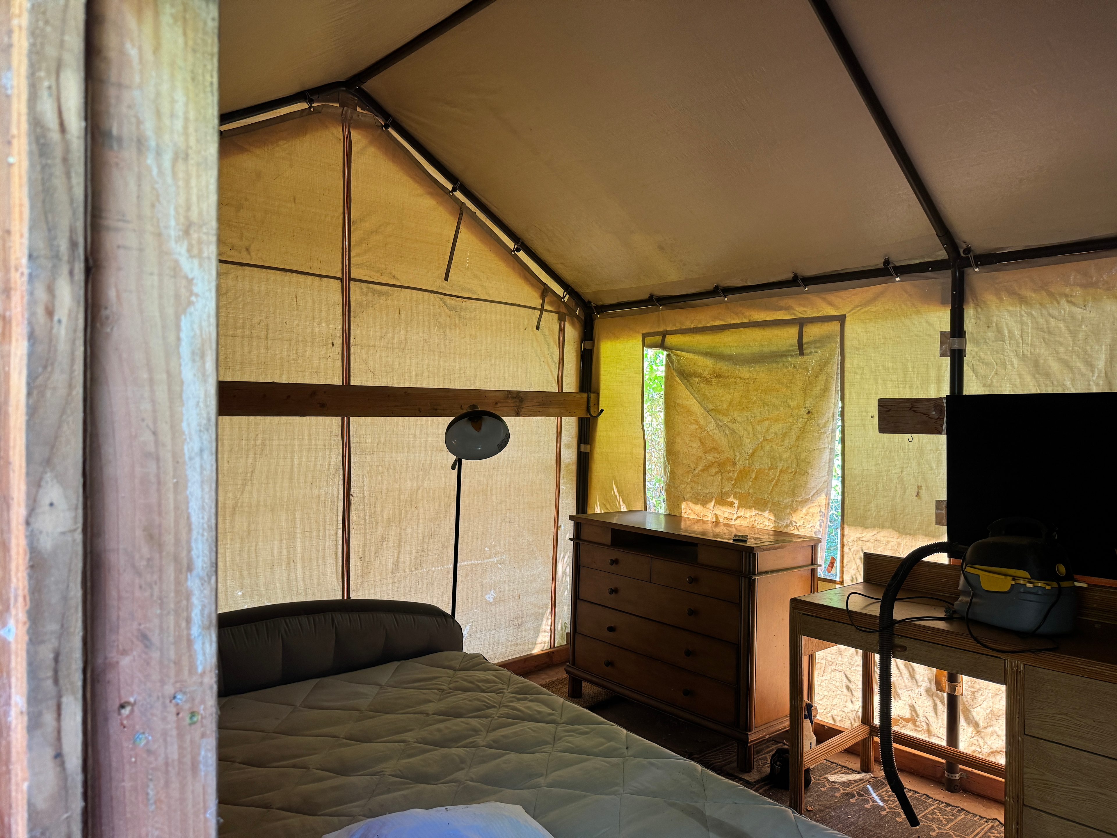 The Hidden Food Forest