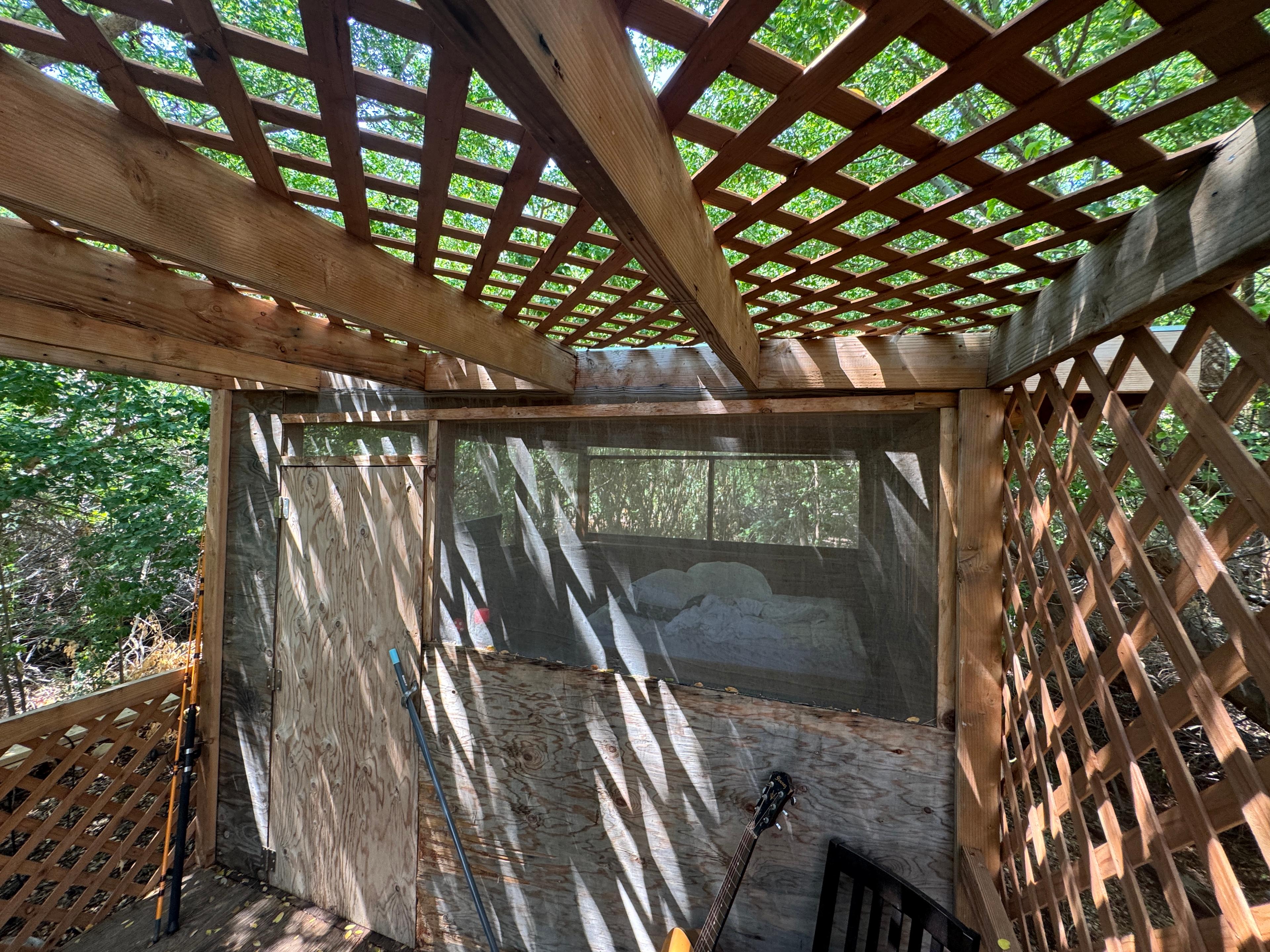 The Hidden Food Forest