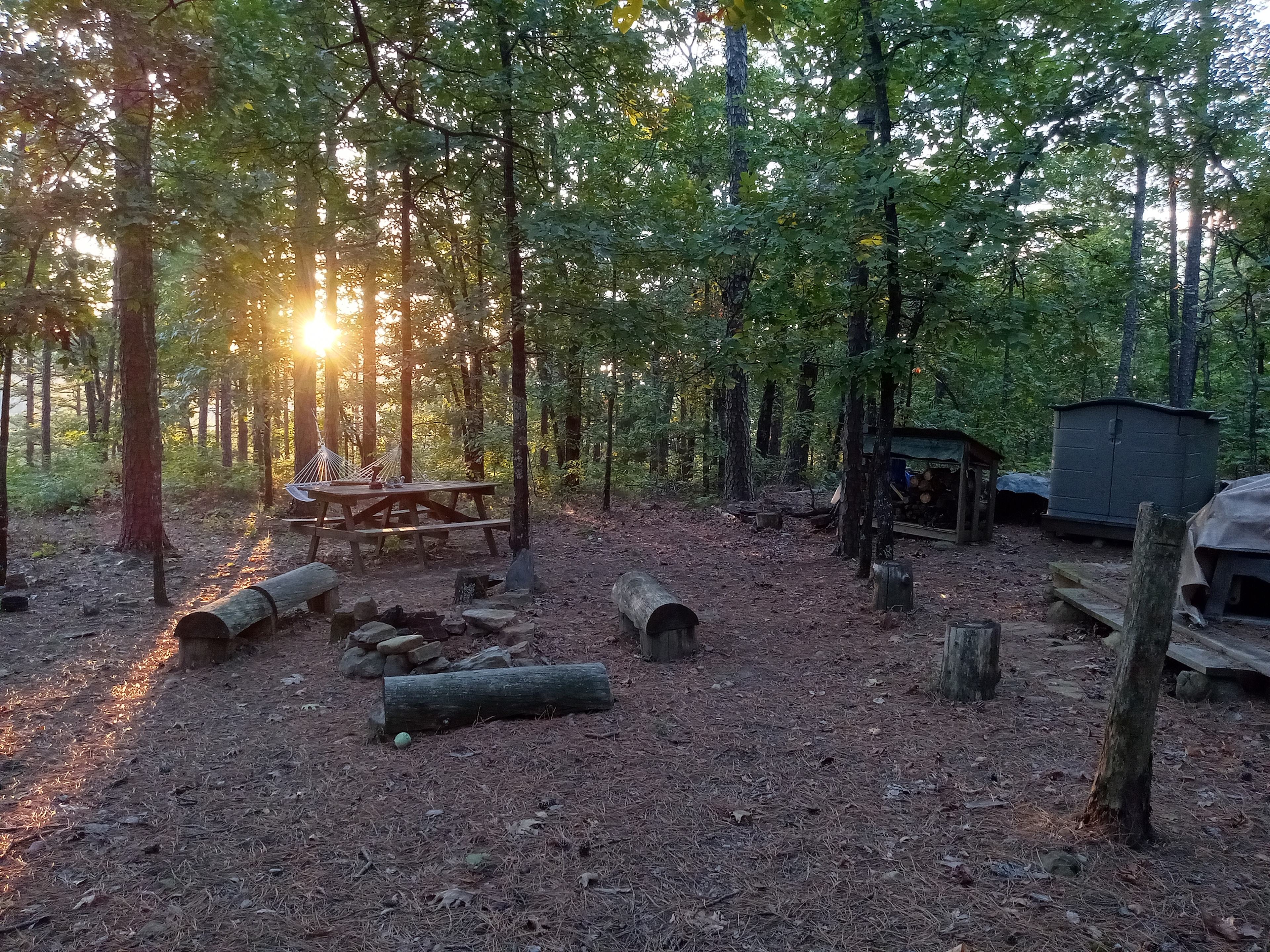 Private Pines By The Hollar