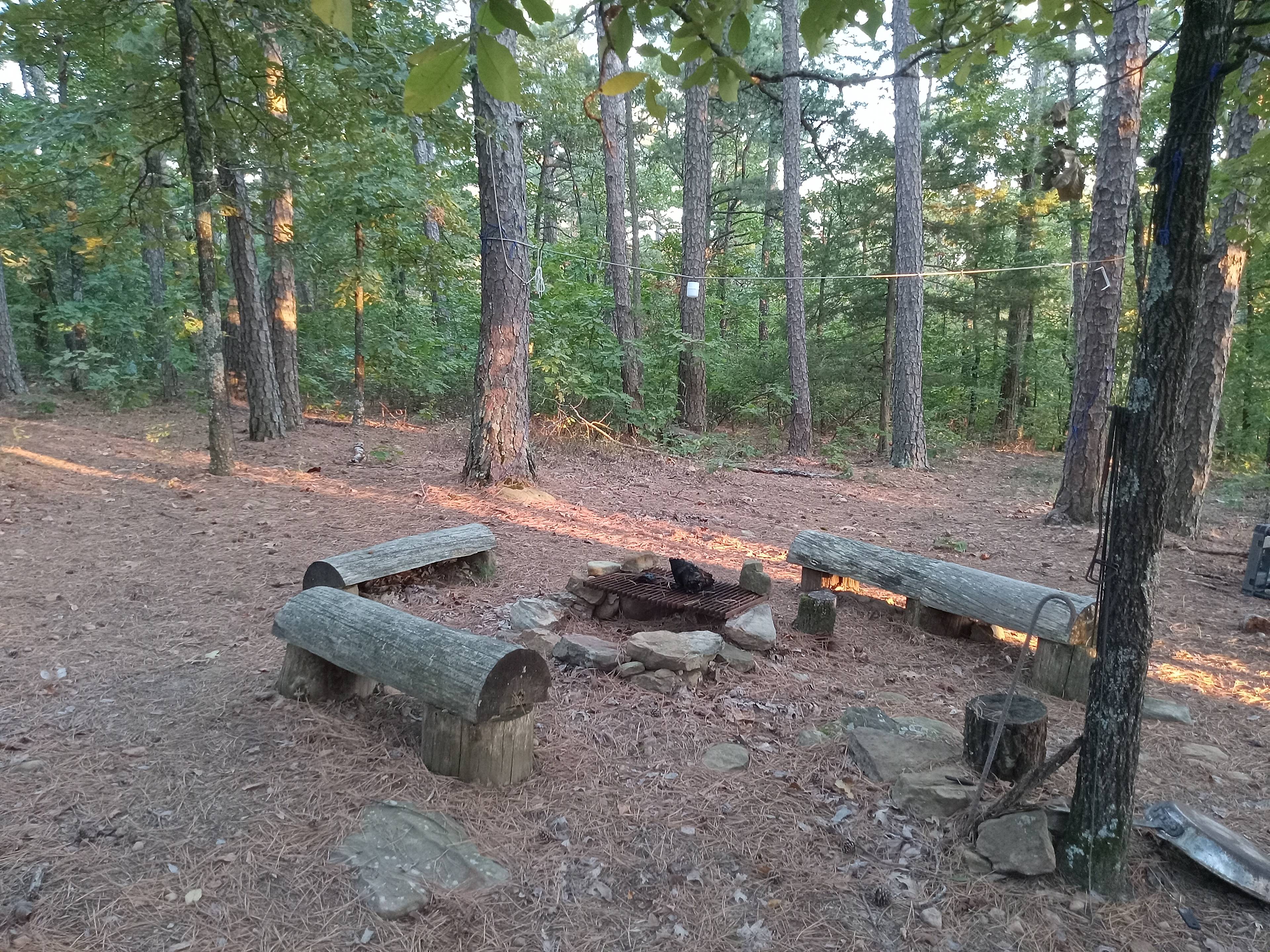 Private Pines By The Hollar