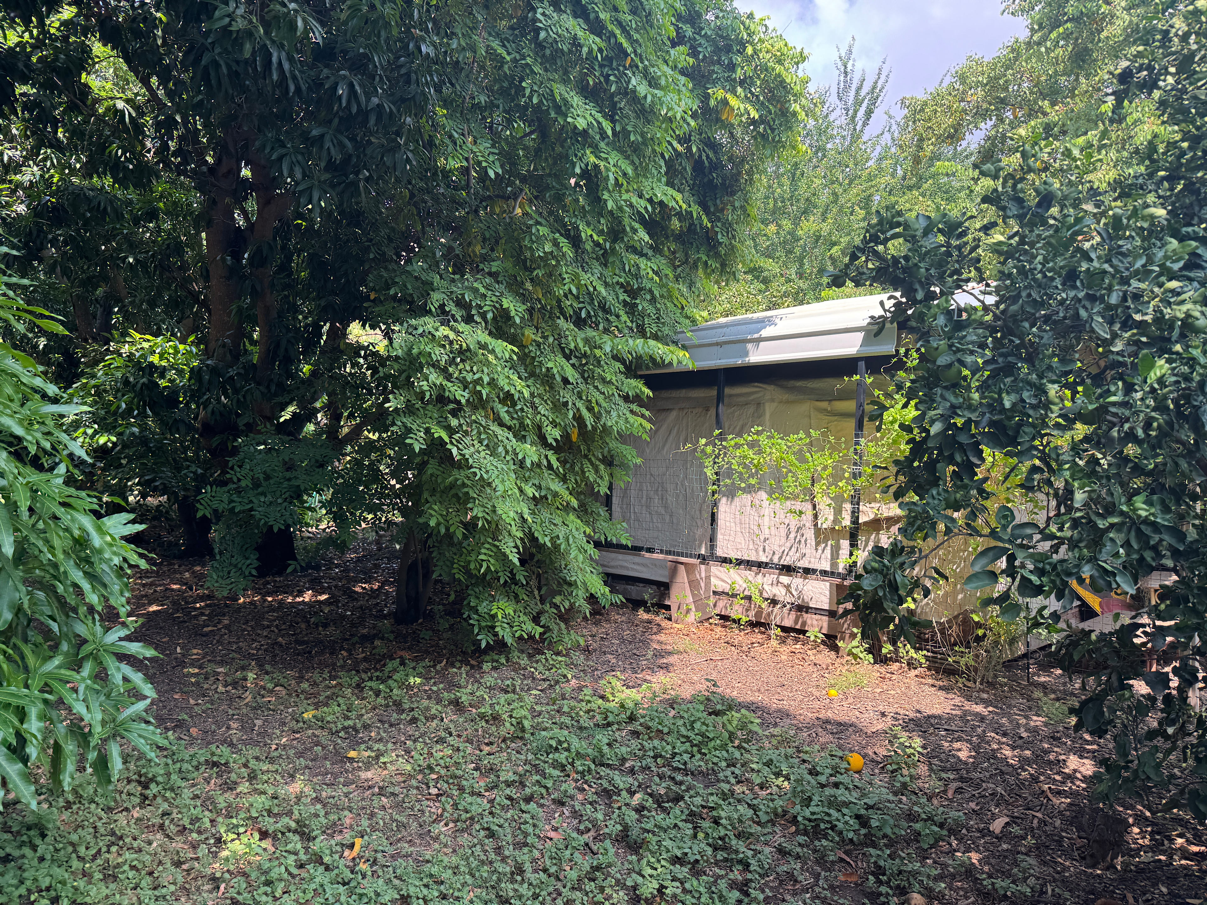 The Hidden Food Forest