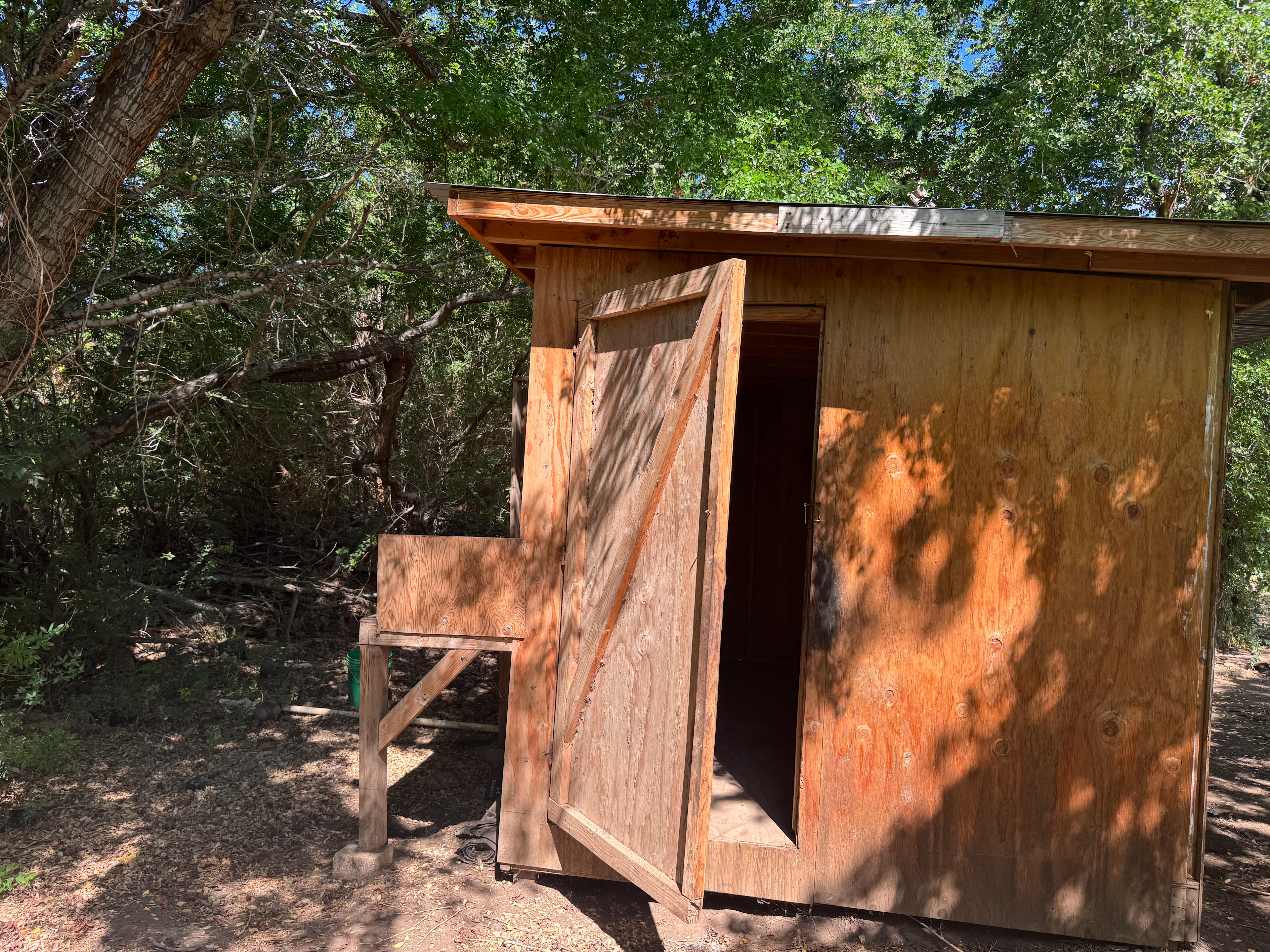The Hidden Food Forest