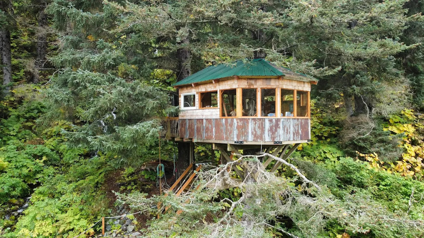 Treehouse Cove Lodge
