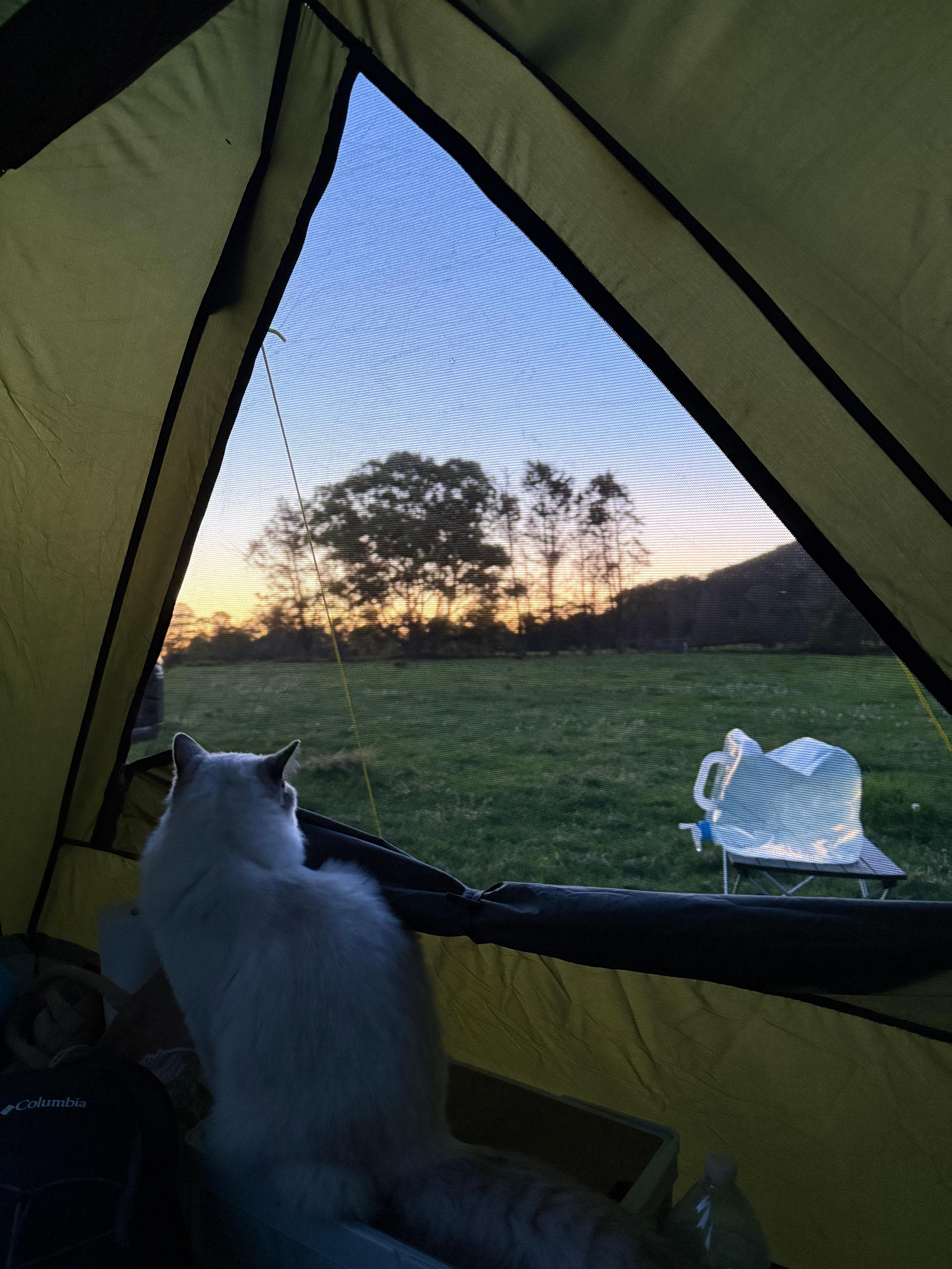 Misty Mountain Farm - Farm Stay