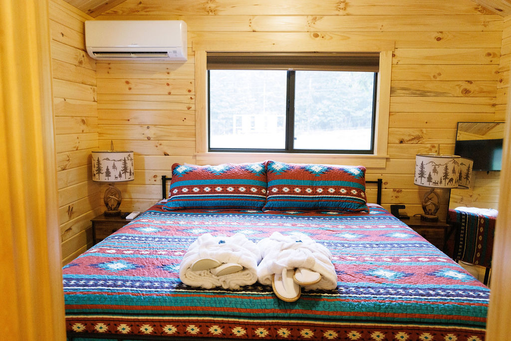 2 Cozy Cabins Near Hot Springs