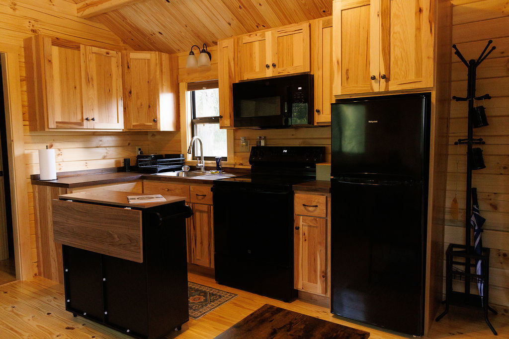 2 Cozy Cabins Near Hot Springs