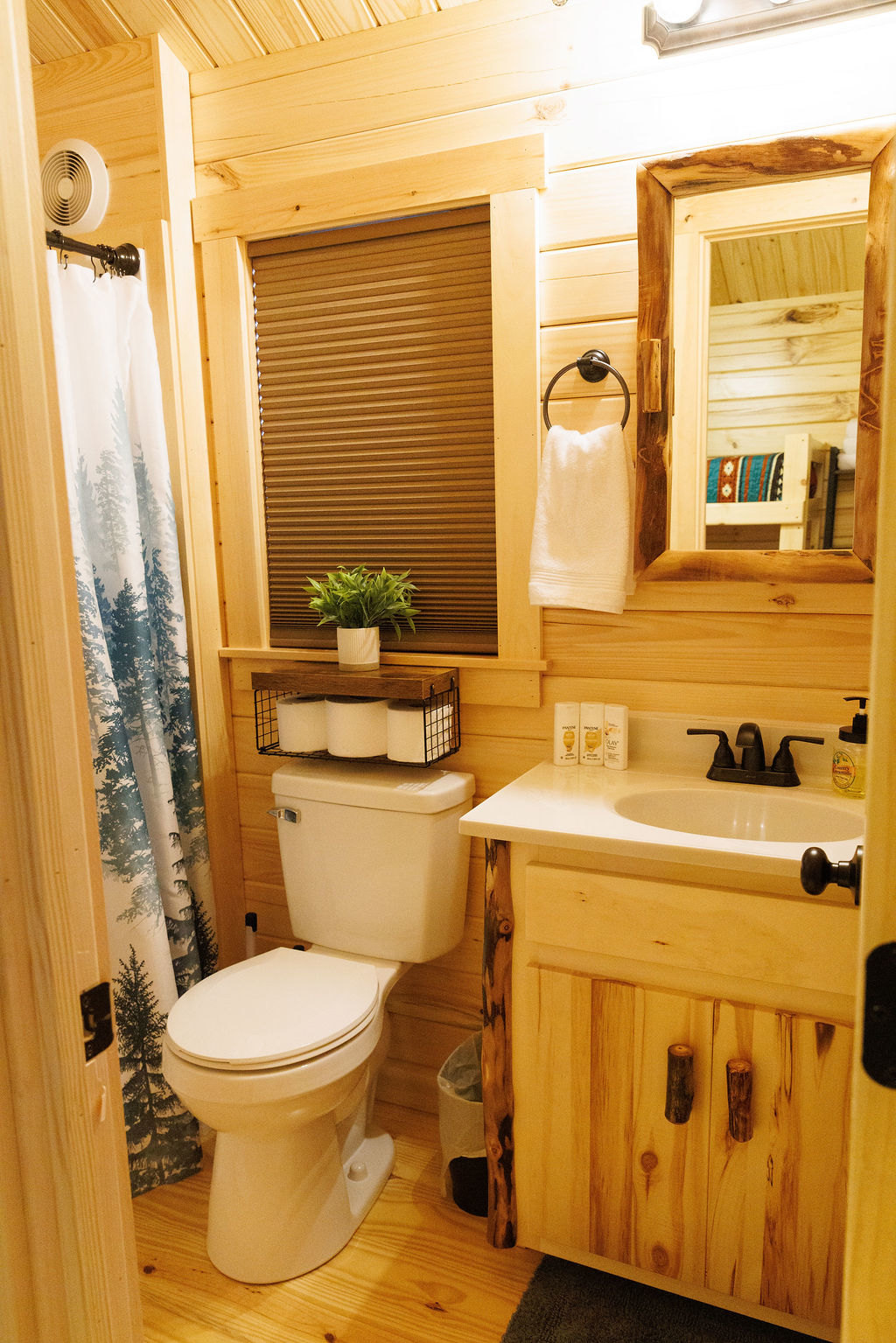 2 Cozy Cabins Near Hot Springs