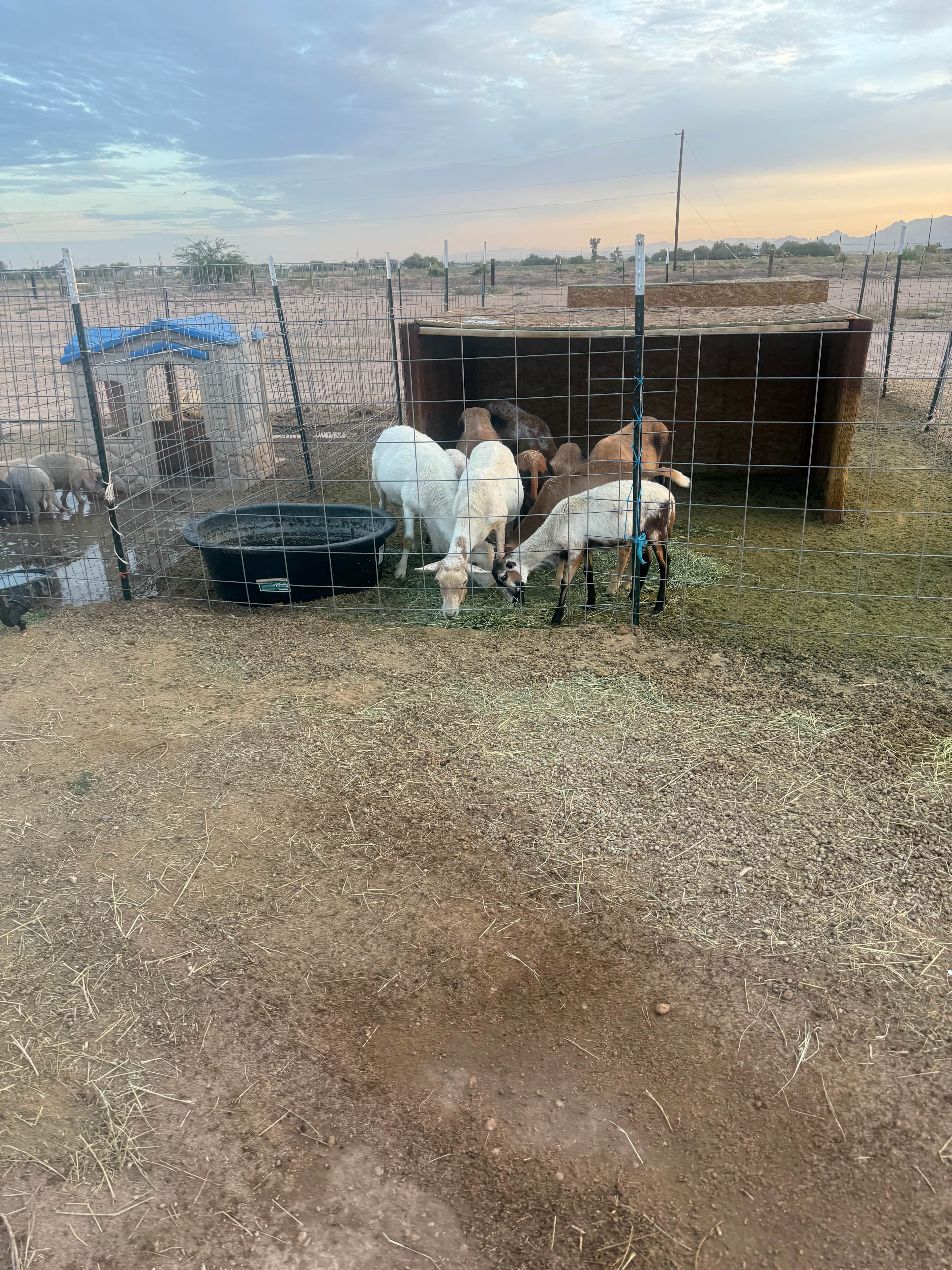 Hobby Farm Oasis
