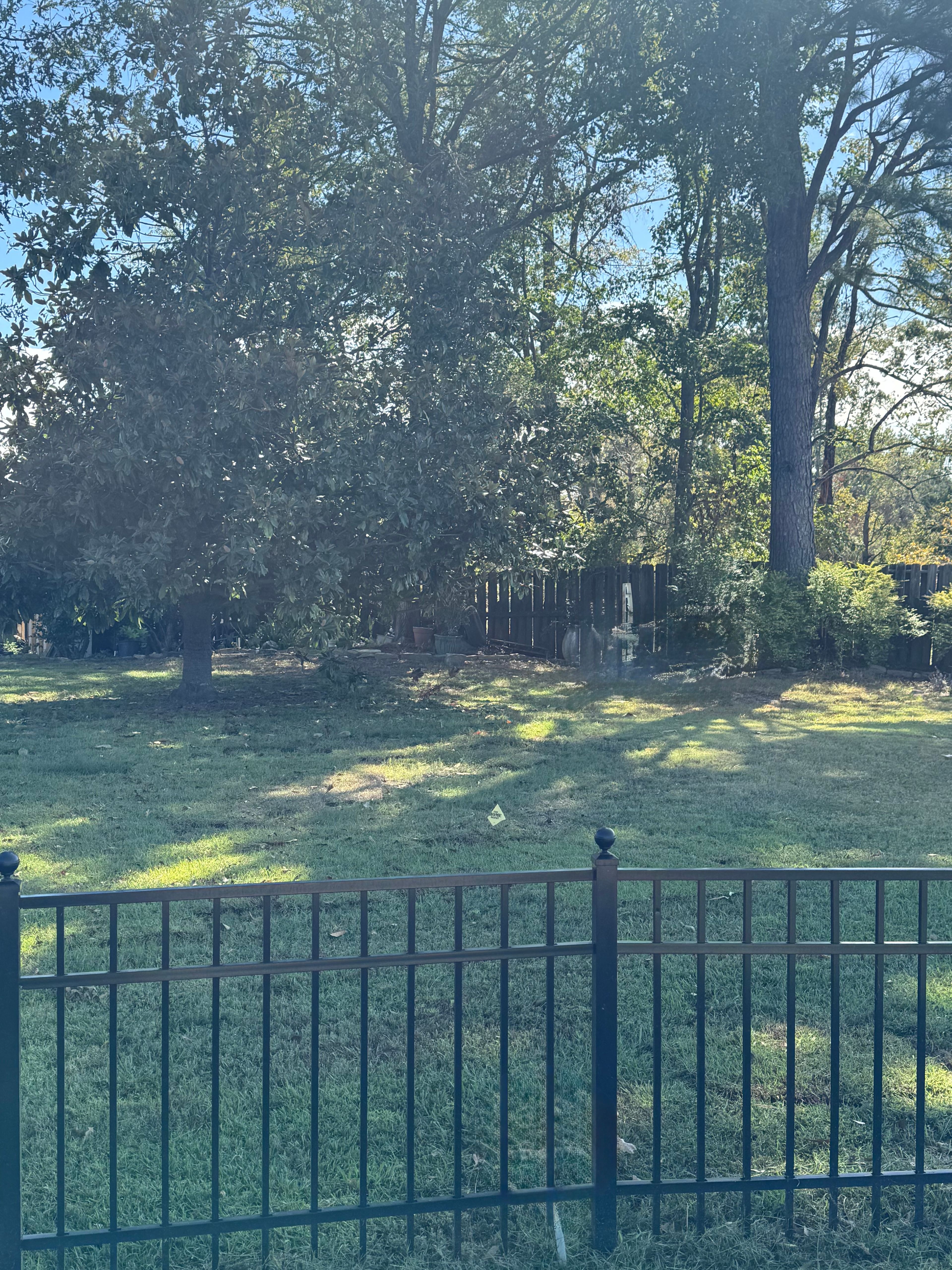 Lake Tuscaloosa "glamping"